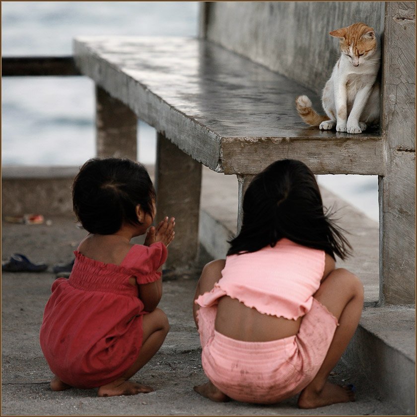 дети, девоча, кошка, гили, траванган, индонезия, Ханмурзин Павел