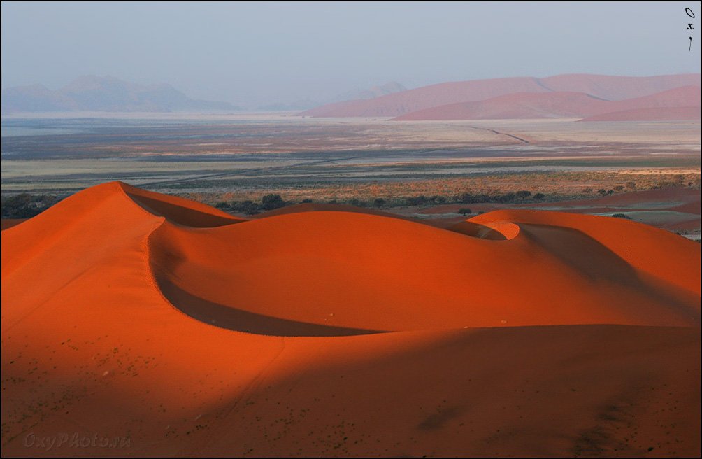 дюны, соссусвлеи, пустыня намиб, намибия, африка, dunes, sossusvlei, namib desert, namibia, africa, Оксана Борц