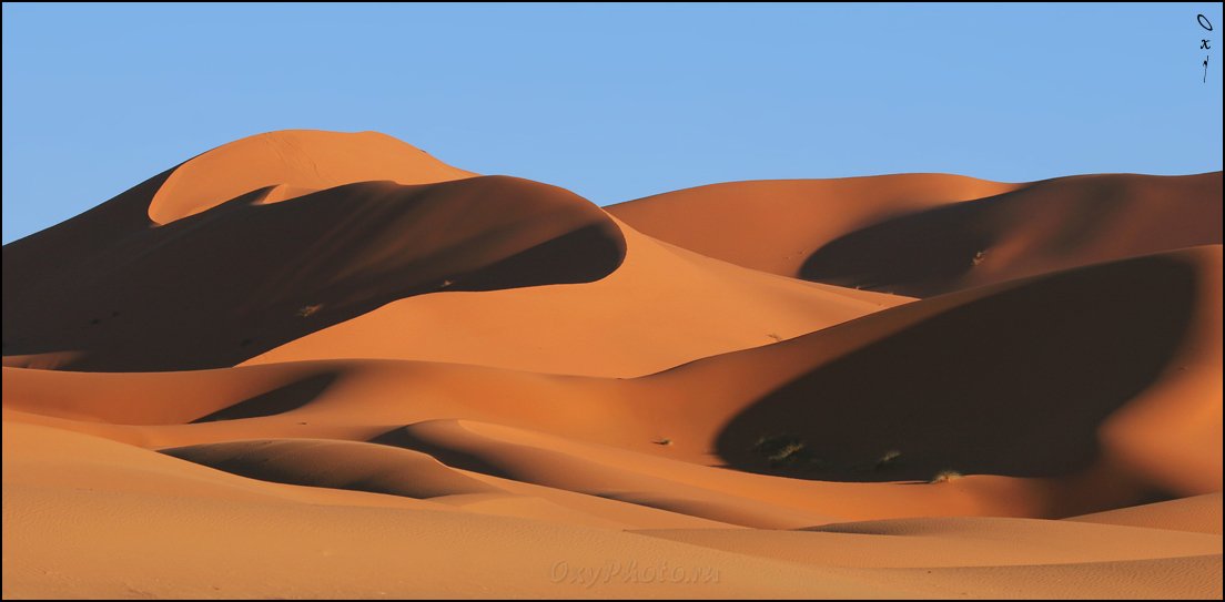 африка, марокко, africa, morocco, maroc, магриб, песок, дюны, пустыня, сахара, sand, dune, desert, sahara, эрг-шебби, erg-chebbi, merzouga, мерзуга, Оксана Борц