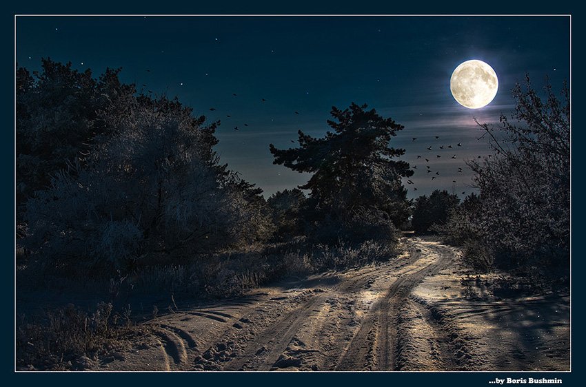 пейзаж, природа, ночь, зима, снег, лес, луна, Борис Бушмин