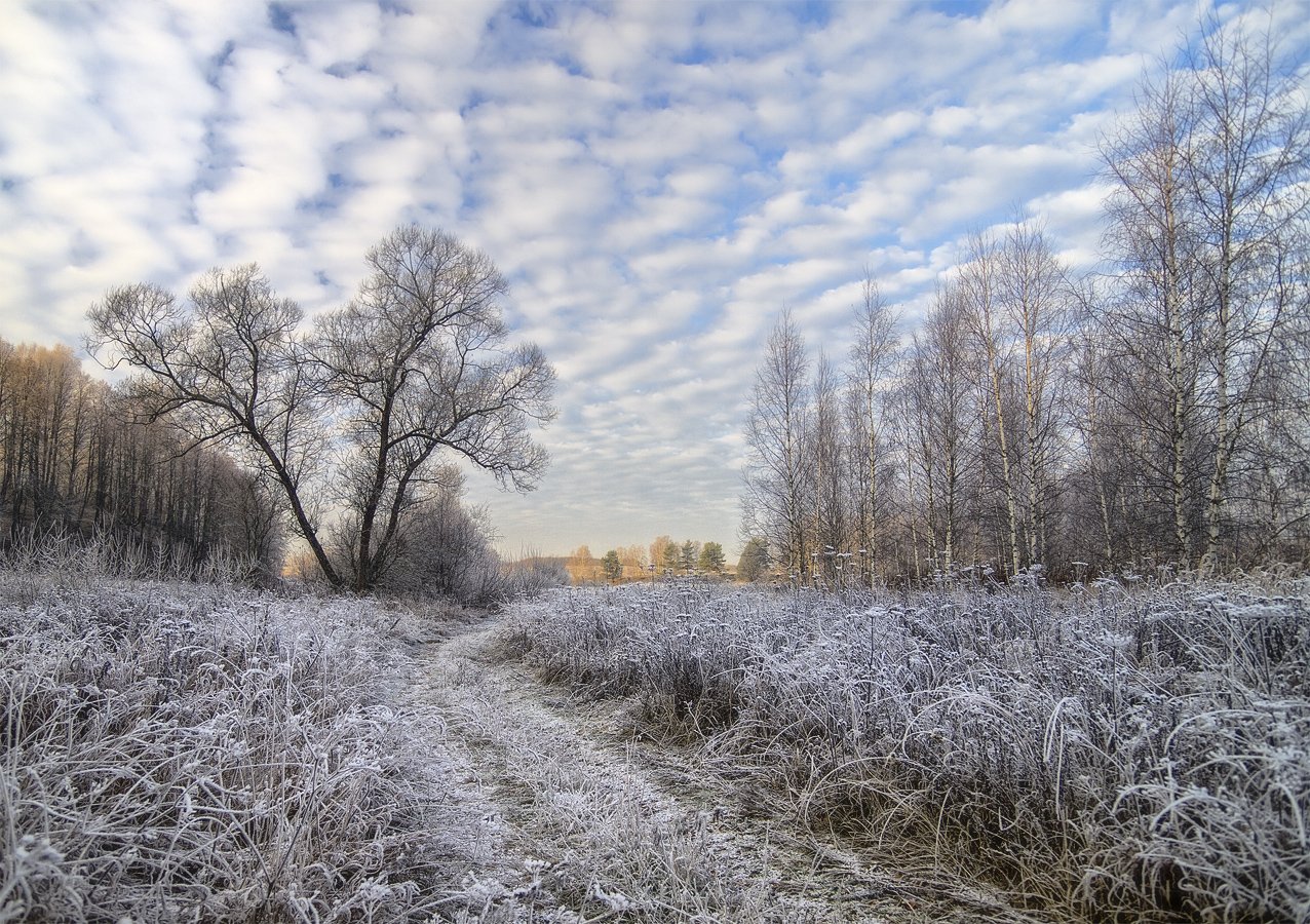 , Марина Брыдня