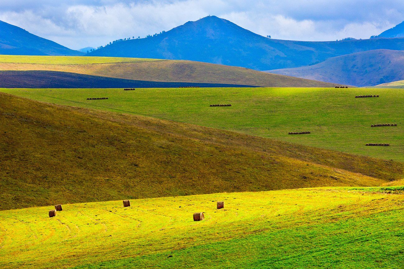 Просторы алтая. Алтайские просторы. Фото к стих Алтай.