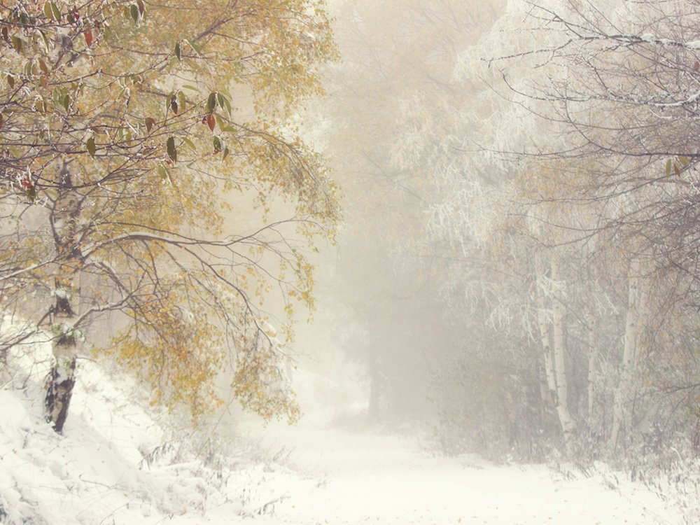 Зима, Осень, Туман, Ирина Костова