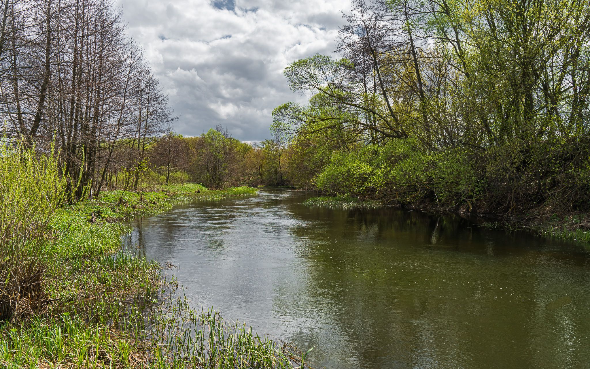 река кшень, весна, апрель,, Николай Бологов