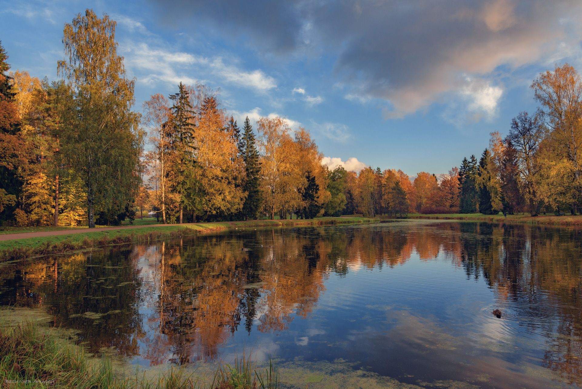 осень, парк, павловский парк, павловск, небо, облака, Vasilyev Andrey