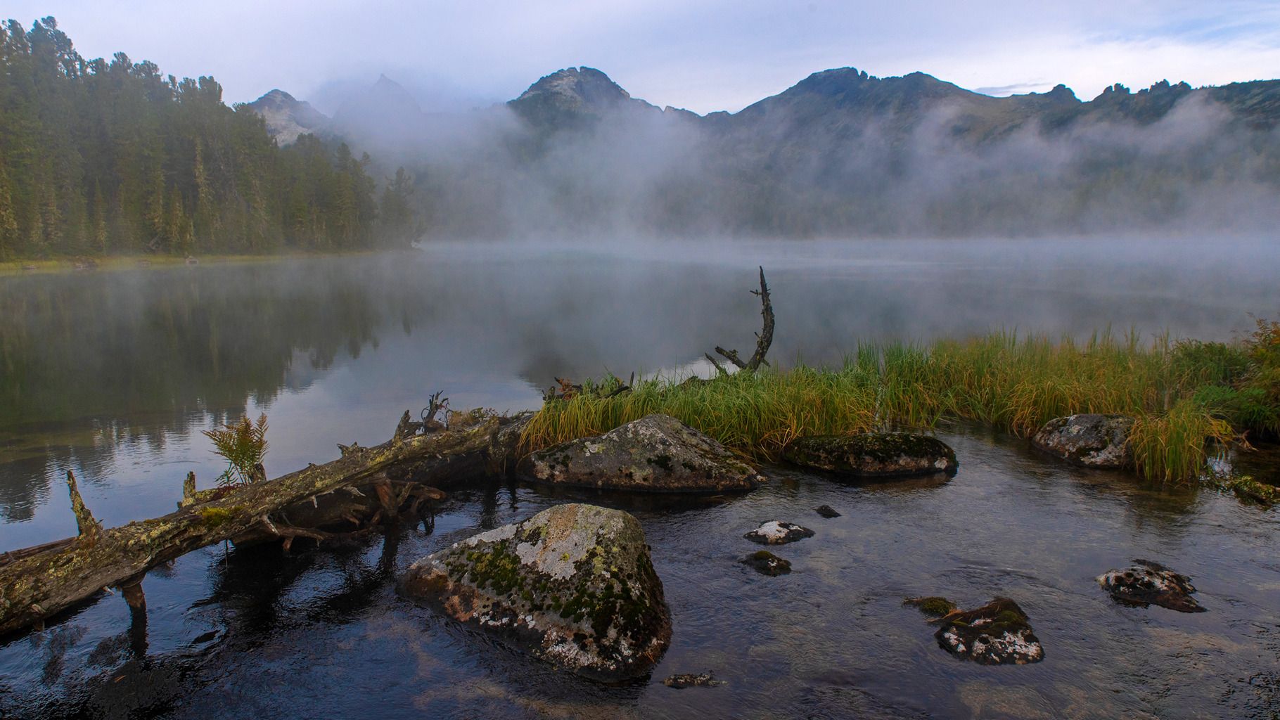 Ергаки озеро Безрыбное горы туман лето ручей бревно коряга отражения утро, Юрий Мальцев