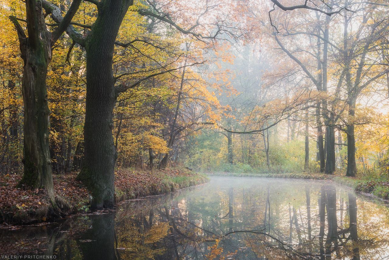 осень, природа, пейзаж, утро, туман, landscape, nature, autumn, sunrise, Валерий Притченко