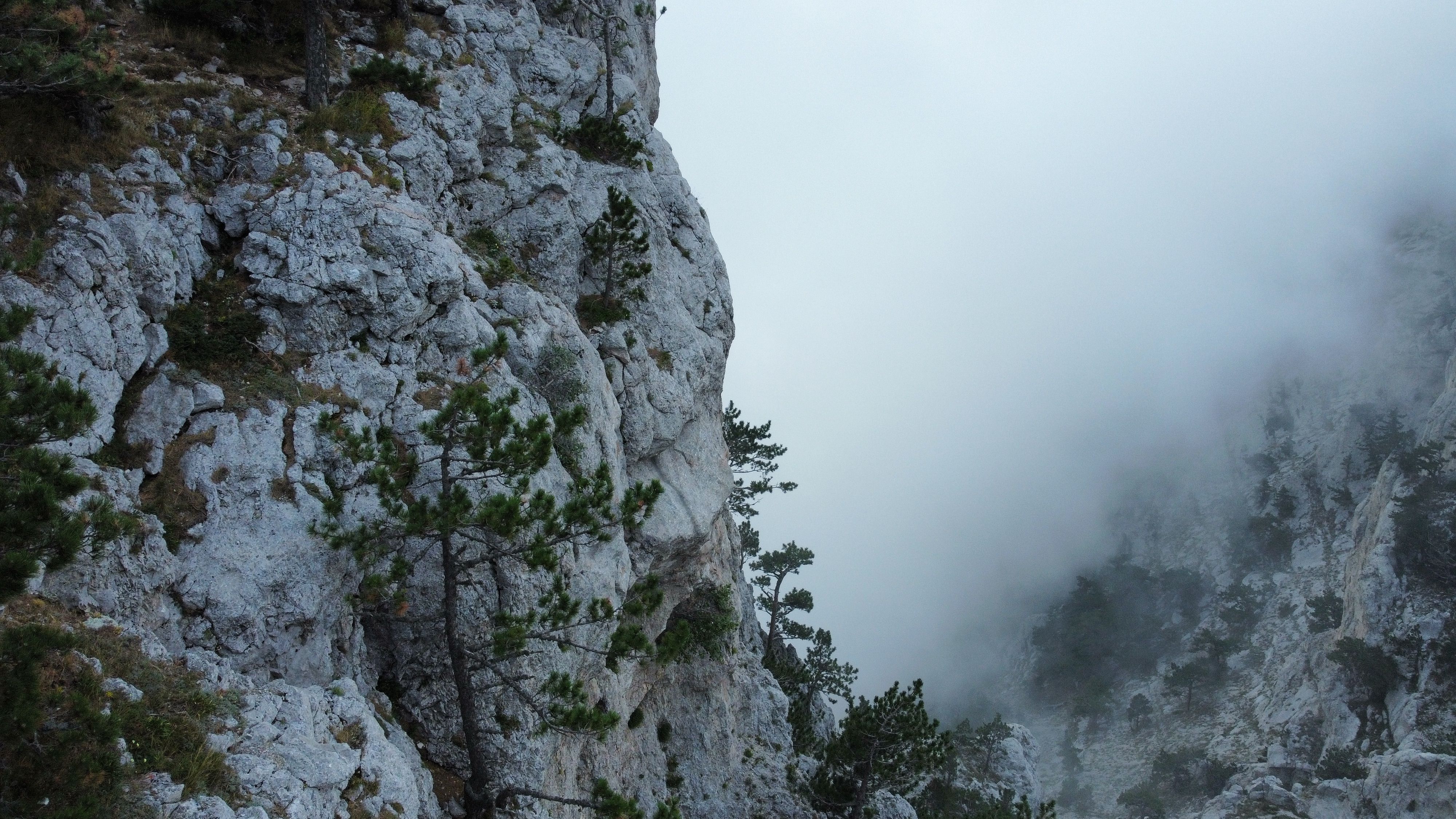 горы, туман, лес, Алёна Салтыкова