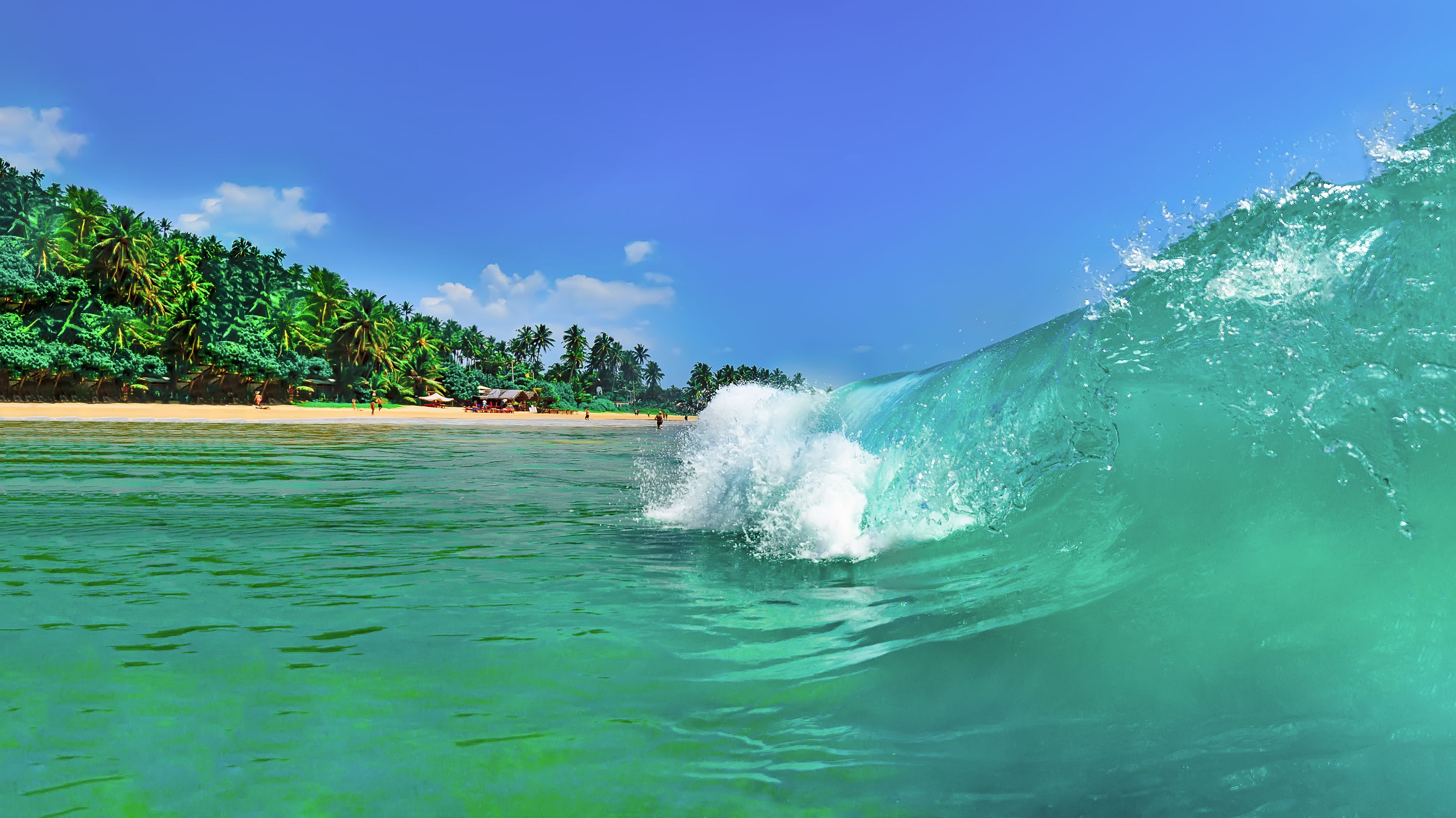 Индийский океан, волна, цейлон, лазурный, прозрачный, чистый, море, пляж, серфинг, отдых, пляжный, азия, юго-восток, шри-ланка, путешествие, тур, лето, жаркий, тропический, остров, джунгли, зелень, лес, Сытилин Павел