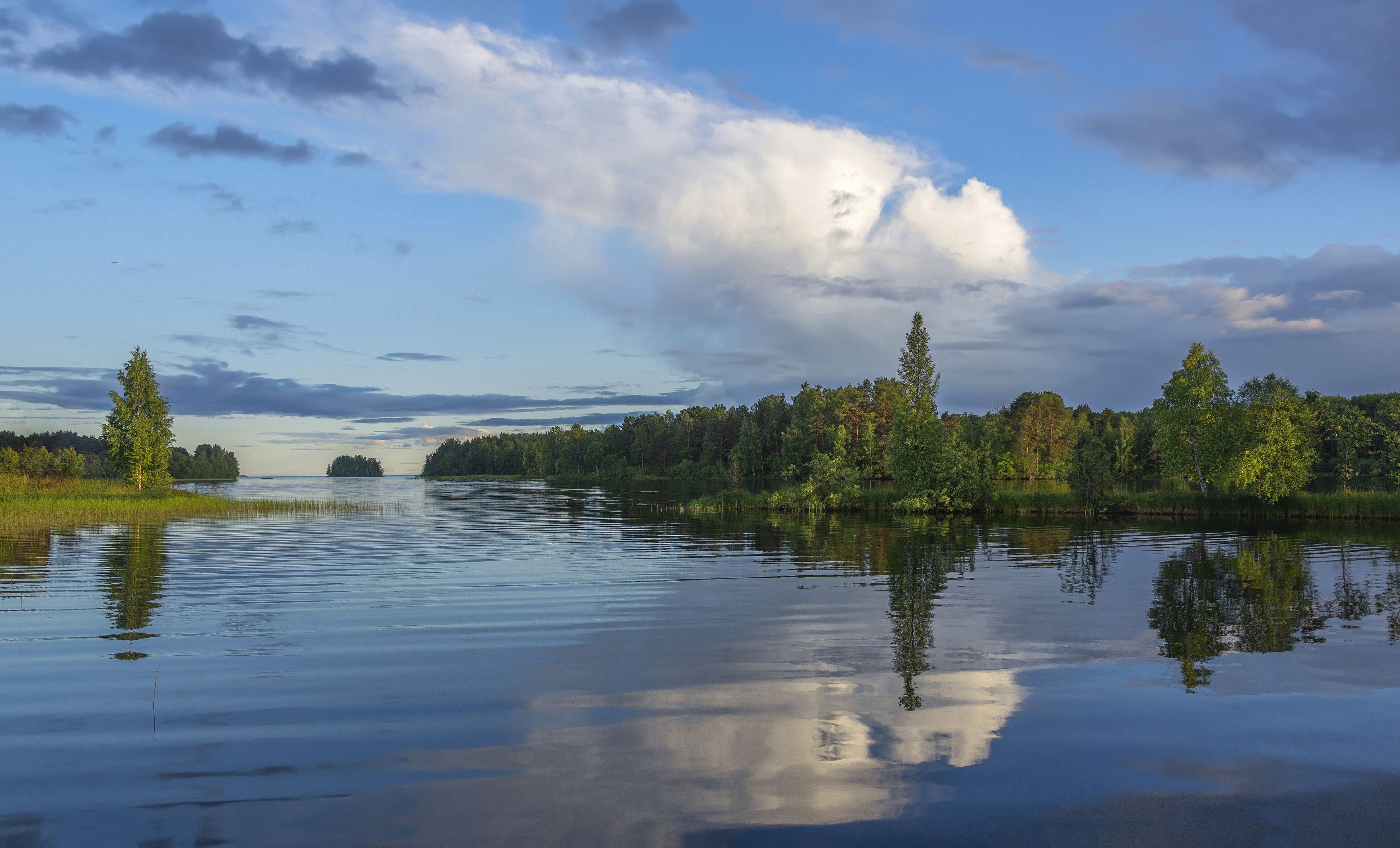 Онега, озеро, острова, лес, вода, облака, Сергей Аникин