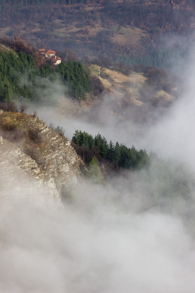 Гора, Туман, Ирина Костова