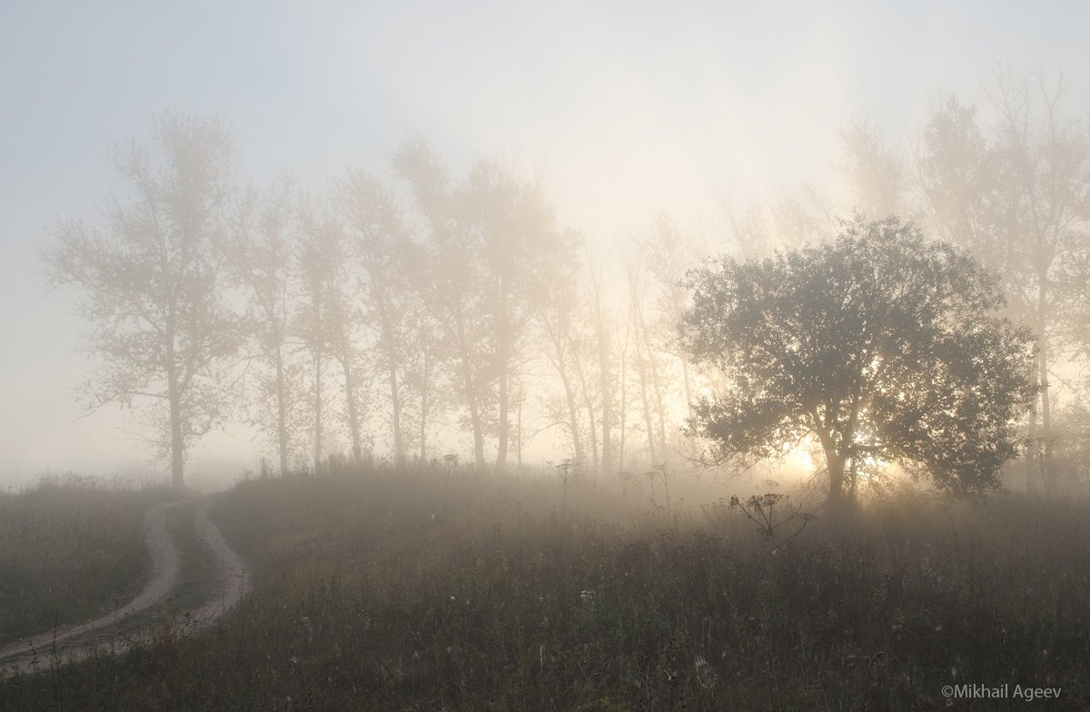 утро рассвет туман архангельское, Михаил Агеев