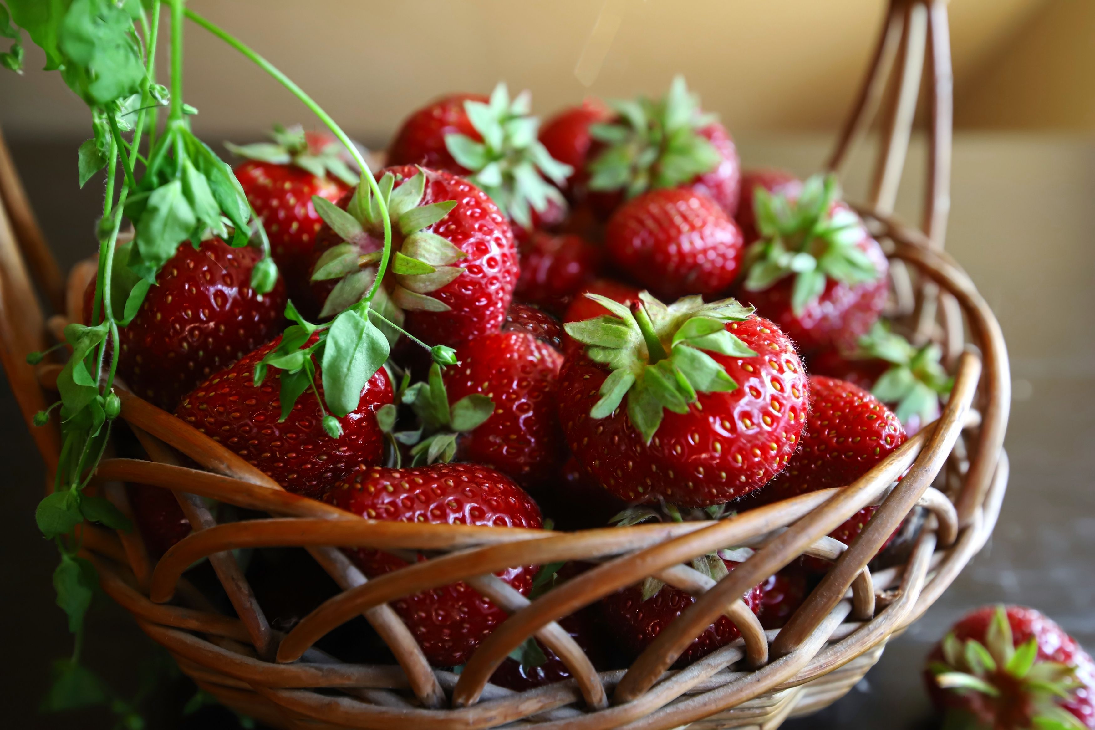 basket, red, strawberries, close-up, DZINTRA REGINA JANSONE