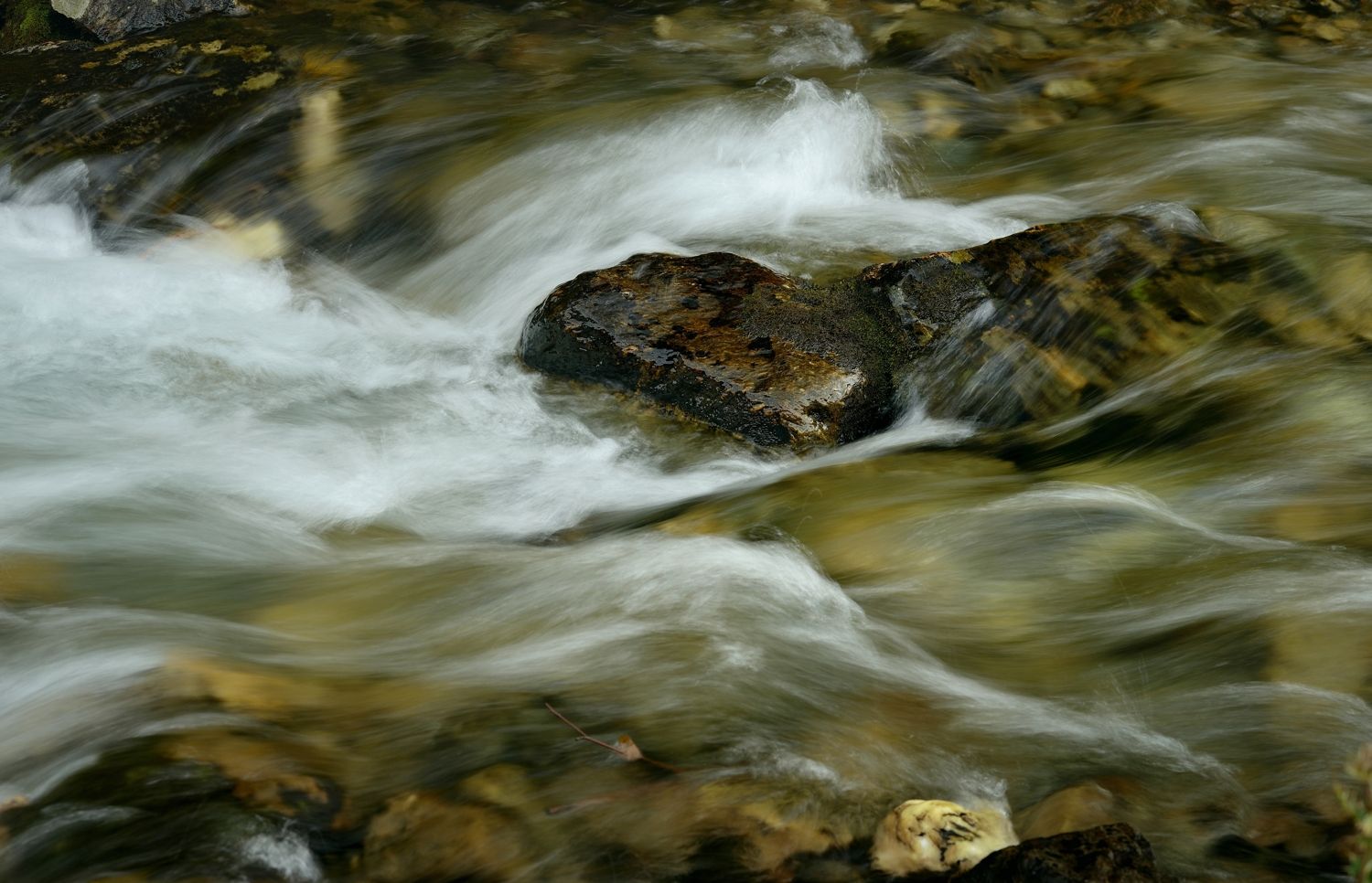река вода поток, Александр Жарников