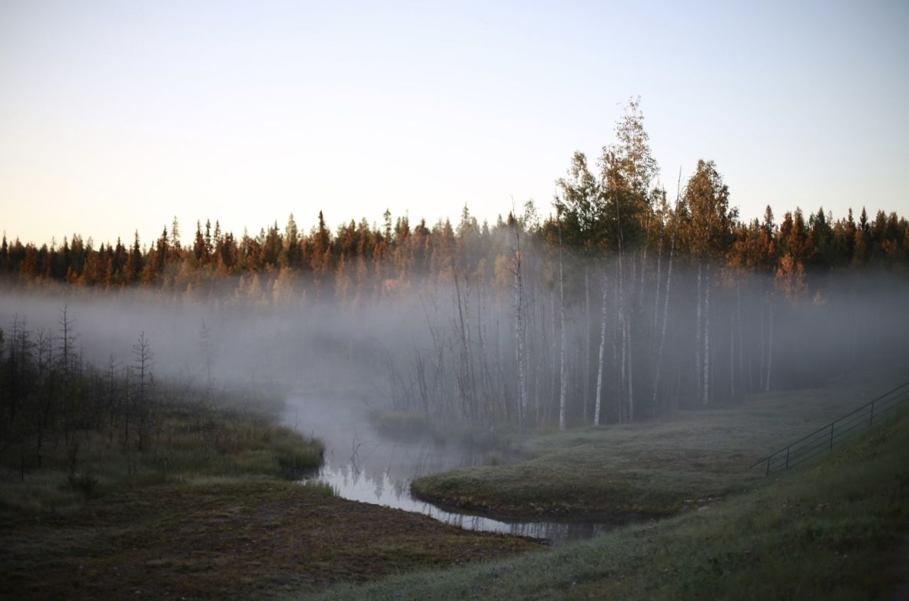 осень, лес, река, туман, утро, Алёна Салтыкова
