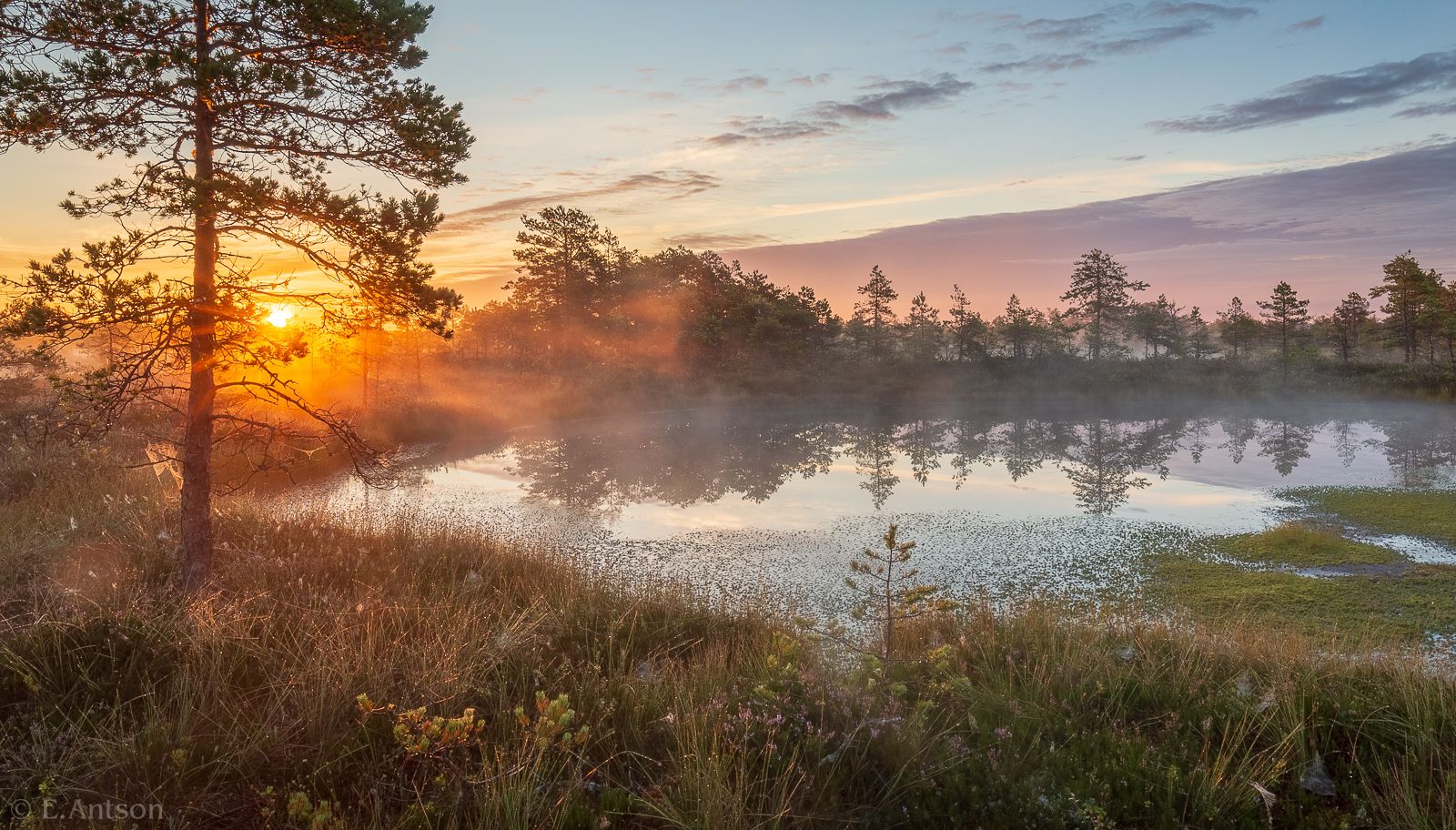 пейзаж, природа, болото, эстония, свет, туман, elvis antson, Antson Elvis