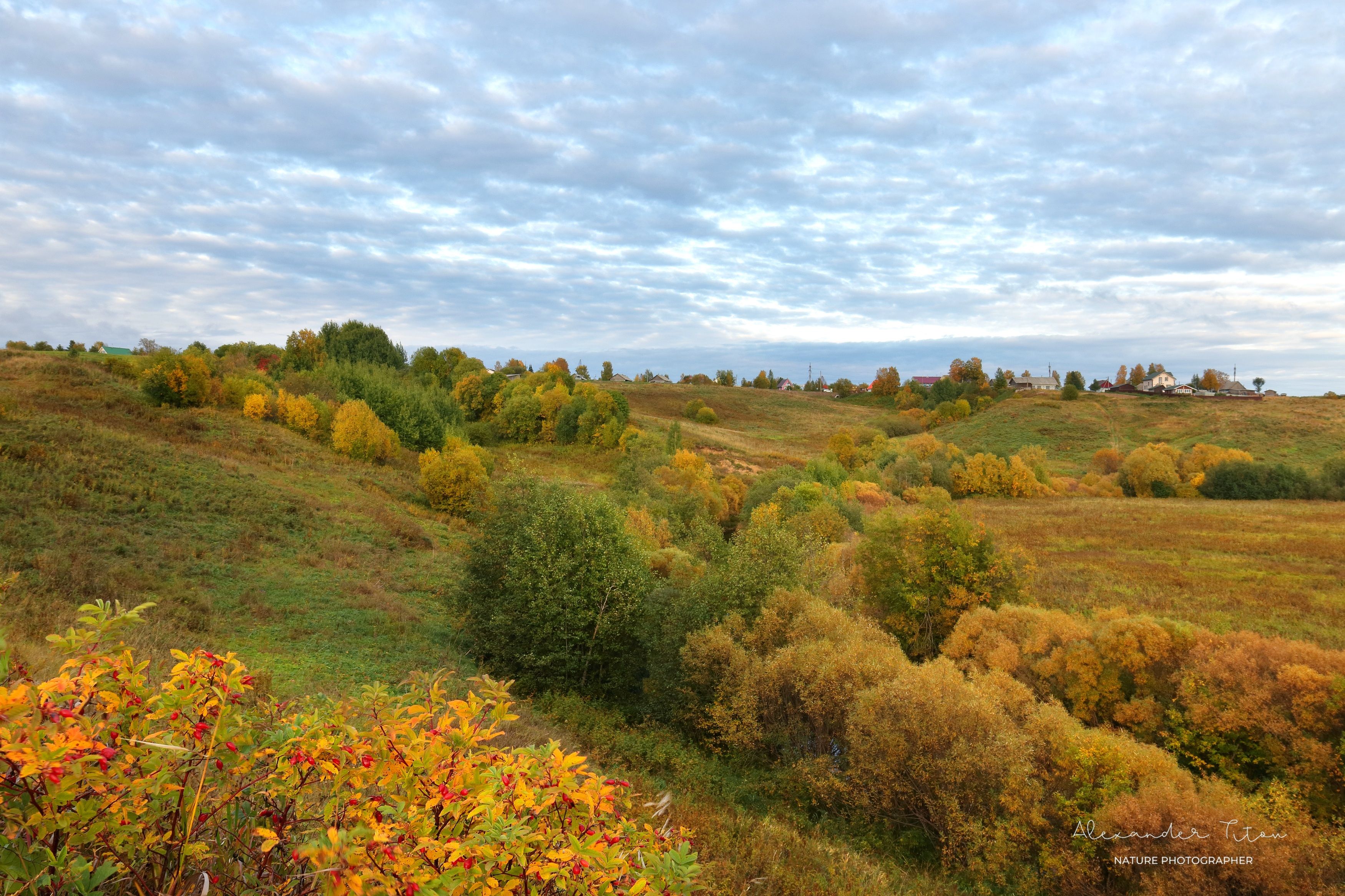природа, осень, краски, север, деревья, листва, холм, Титов Александр