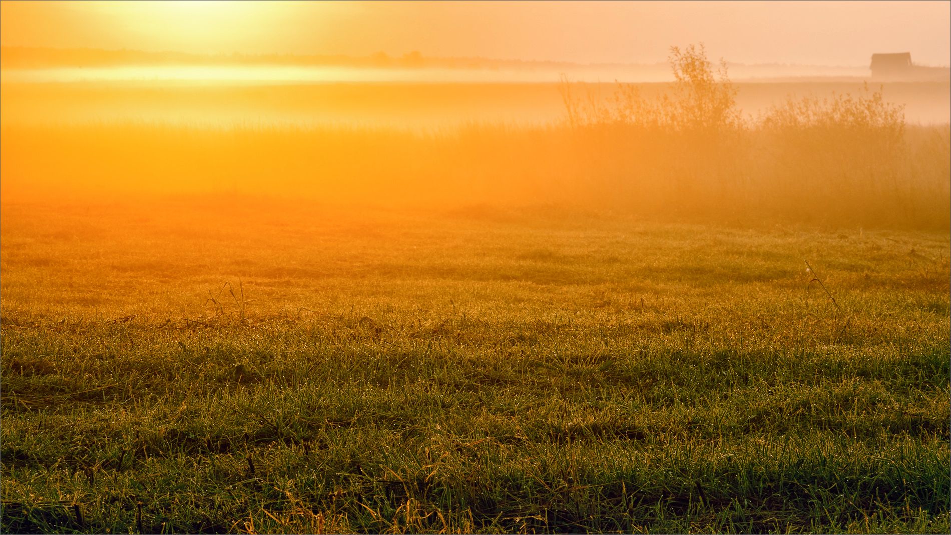 пейзаж, осень, утро, восход, туман, поле, свет, цвет, александр никитинский, Никитинский Александр