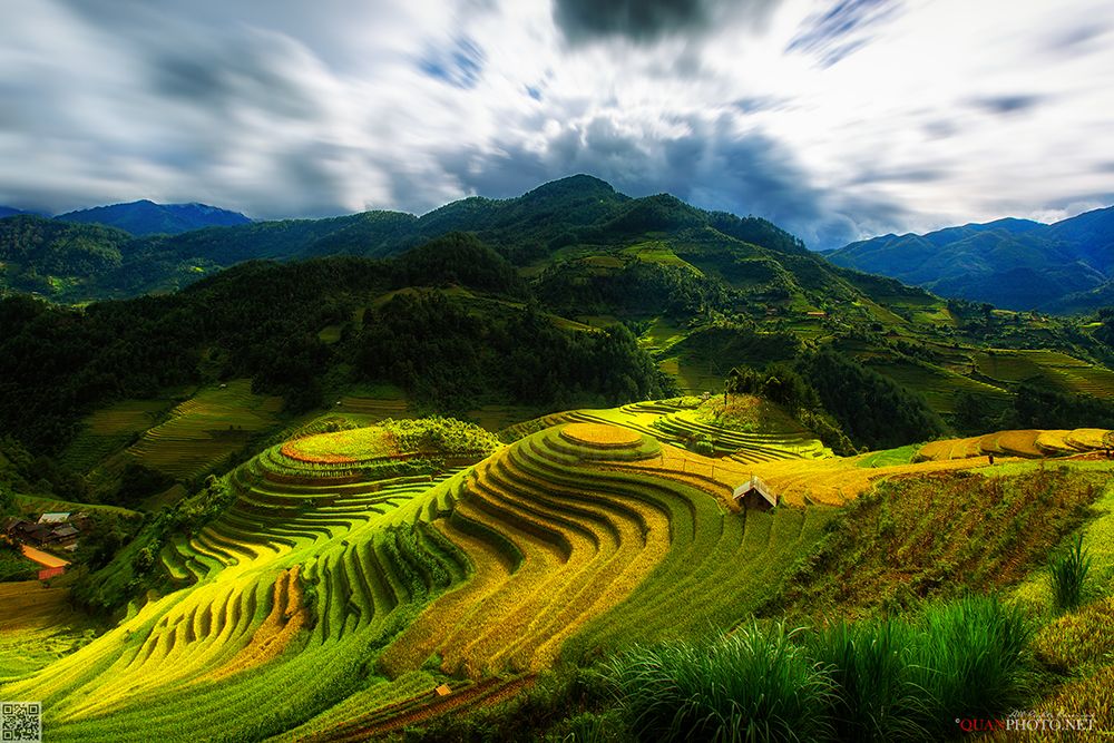 quanphoto, landscape, sunset, mountains, rice, valley, terrace, farmland, agriculture, culture, rural, vietnam, quanphoto