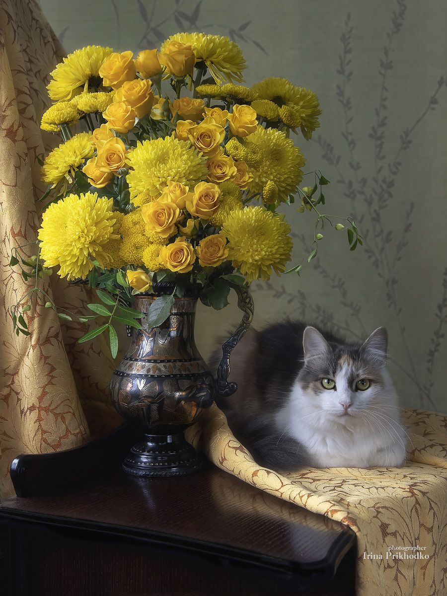 натюрморт, осень, желтые цветы, букет, кошка, домашние питомцы, Приходько Ирина
