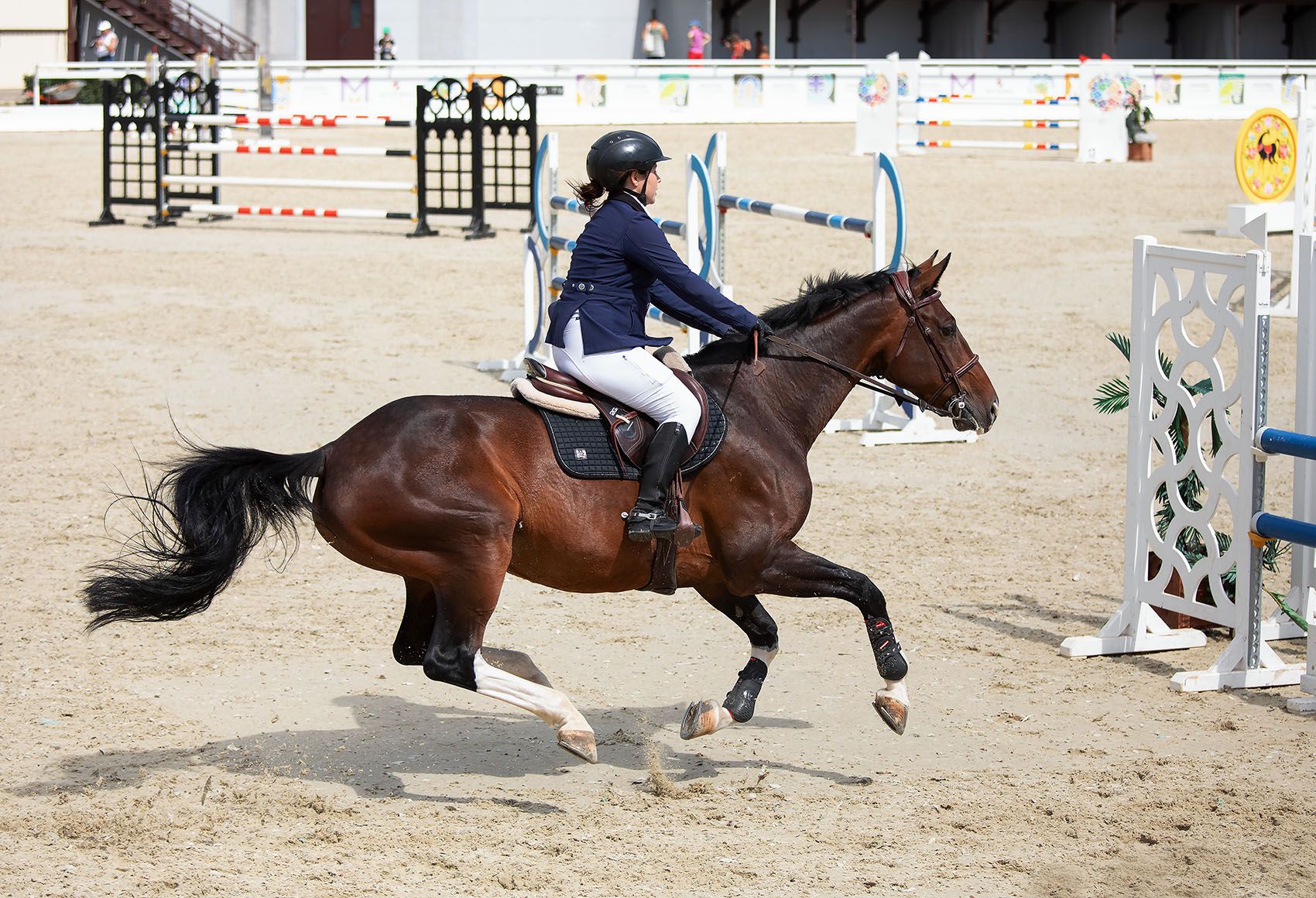 конкур, соревнования,спорт, horses, sport, competition, Yulia Stukalova