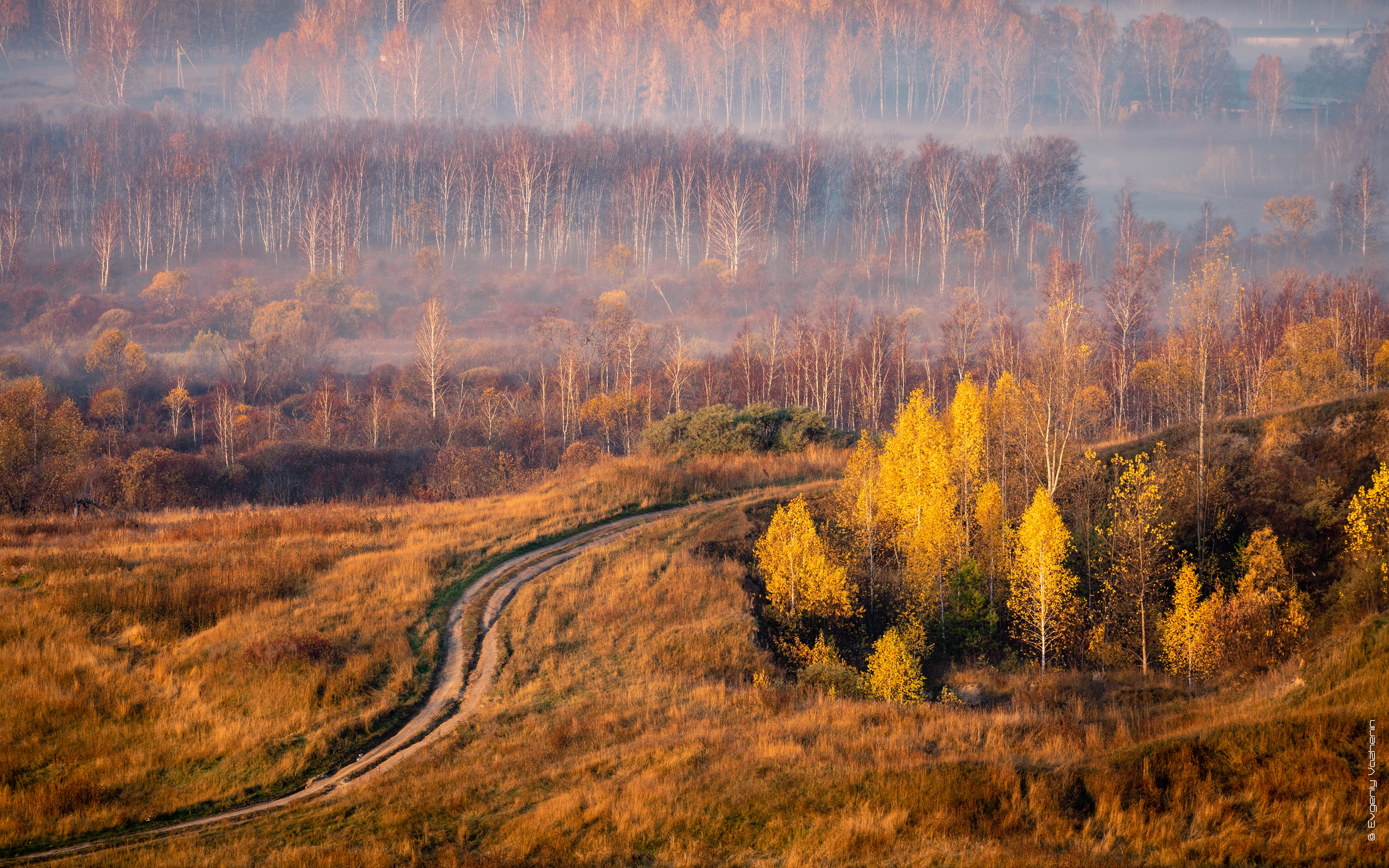 Осень Золотая Карелия Сегежа