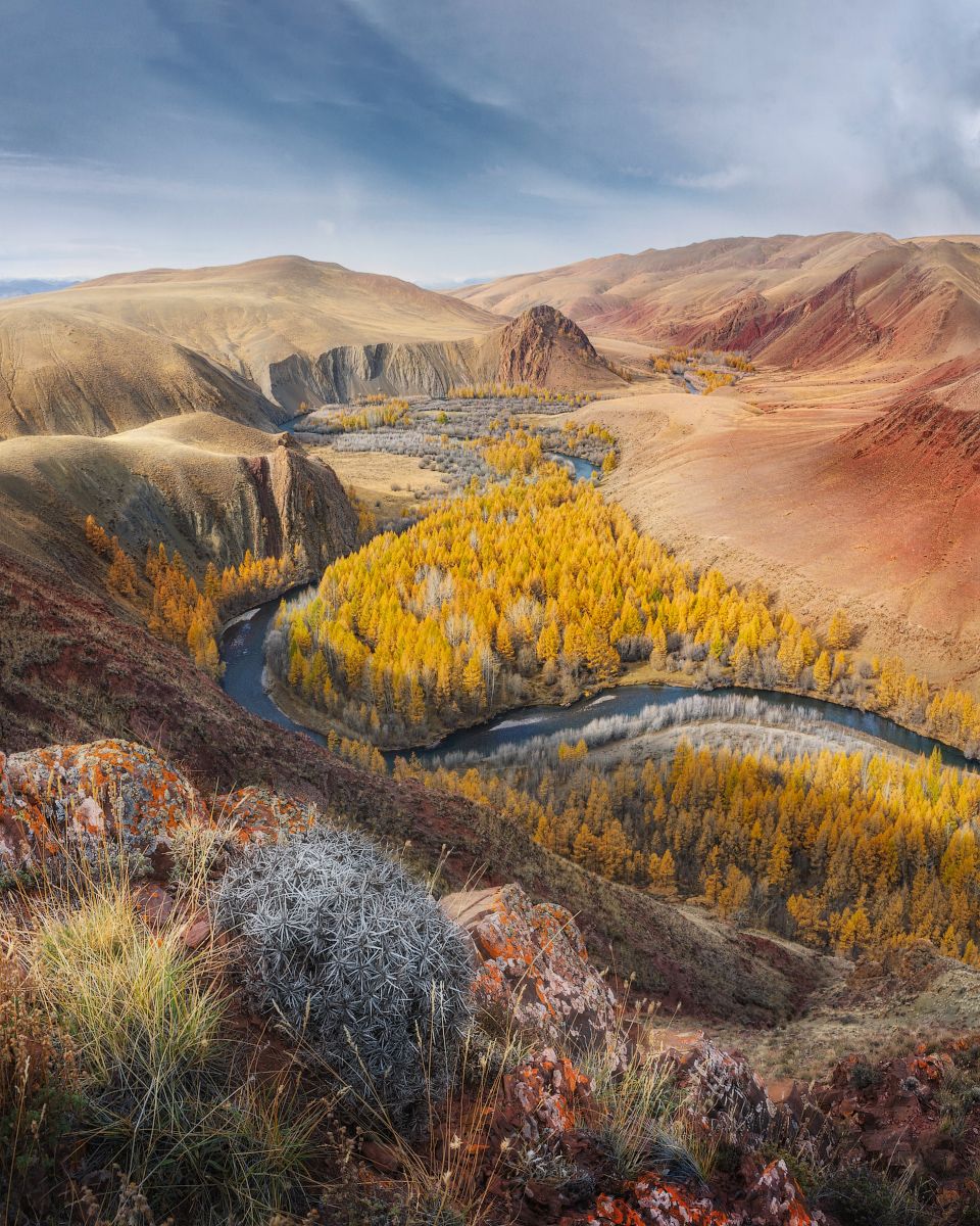 алтай, кокоря, осень, Дмитрий Медянцев