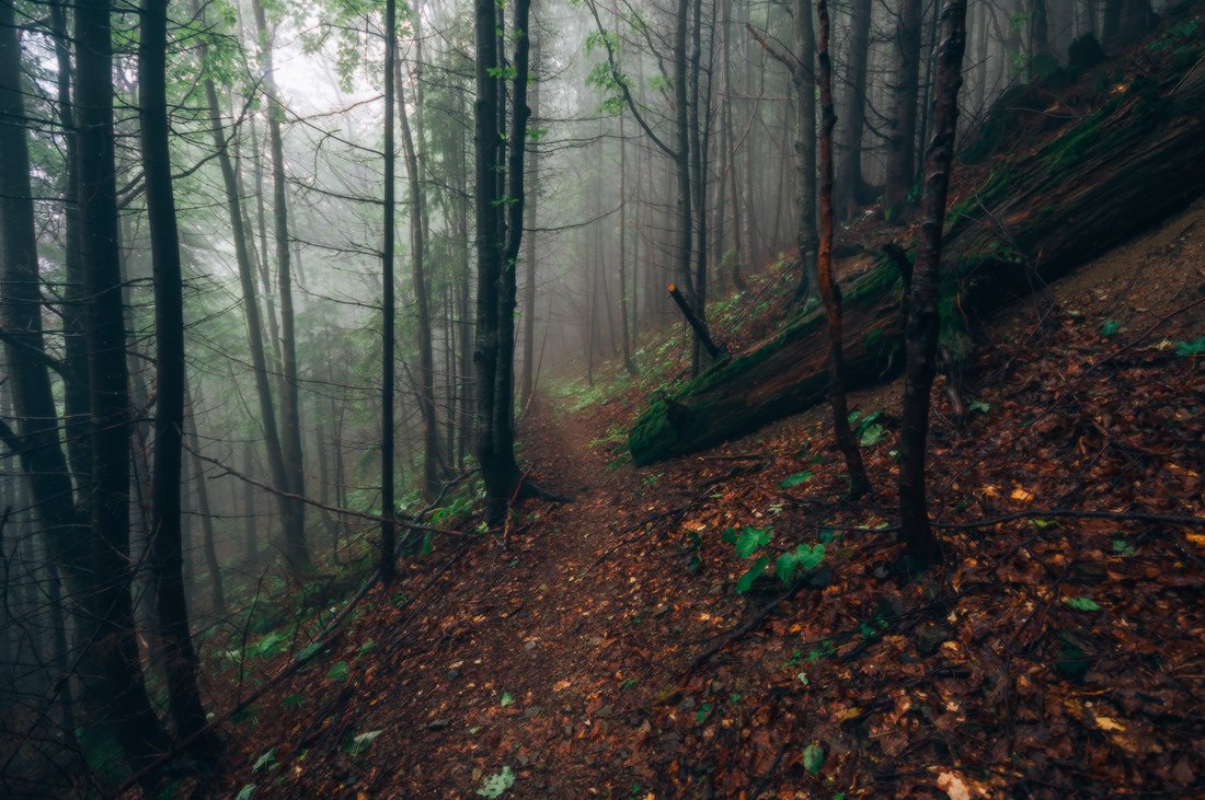 , Ярослав Тюрменко (Jaremi)