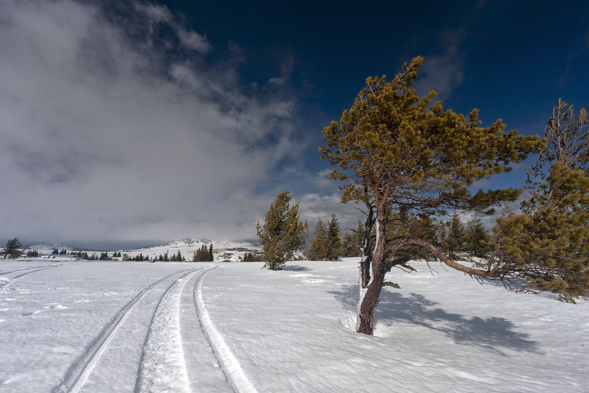 , Александър Сандев