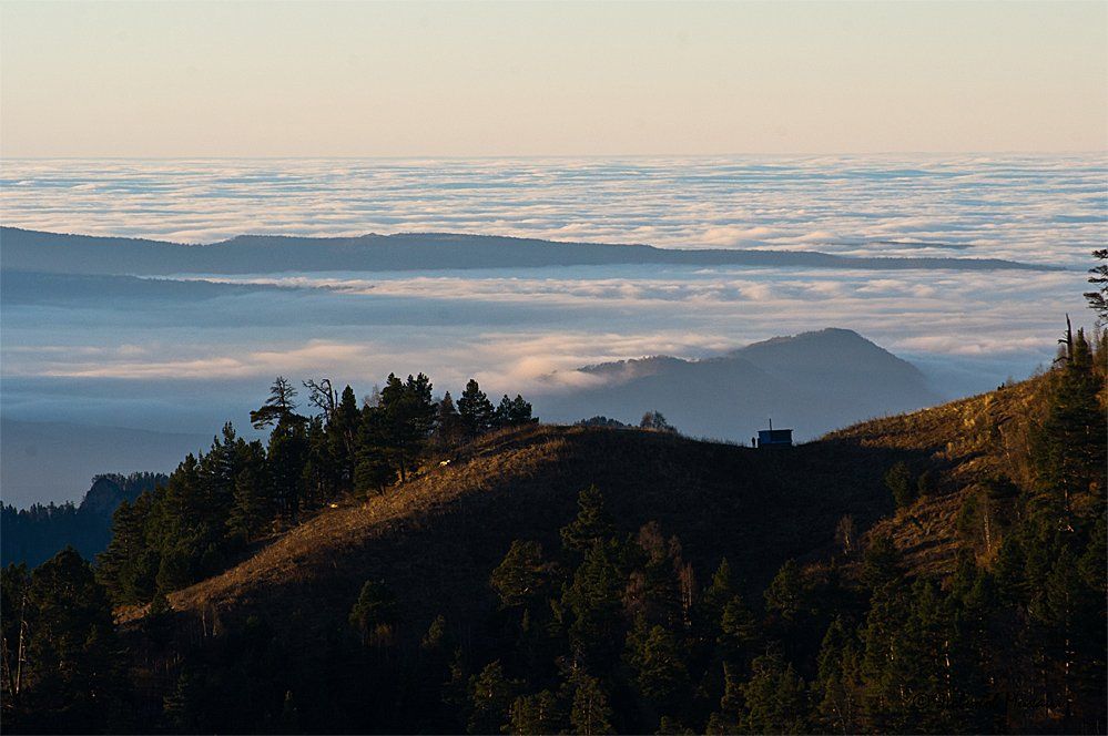 , Ловиков Михаил