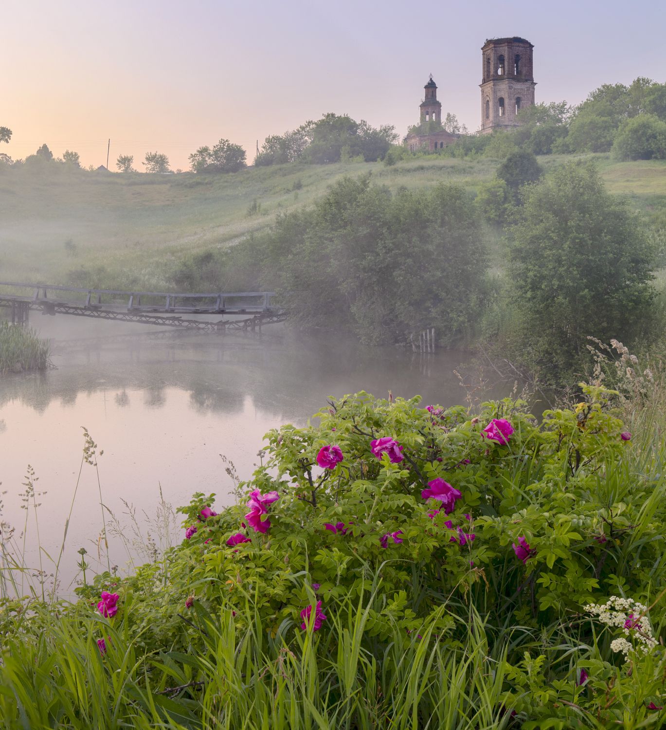 утро цветы рассвет река церковь шиповник, Сергей Буторин