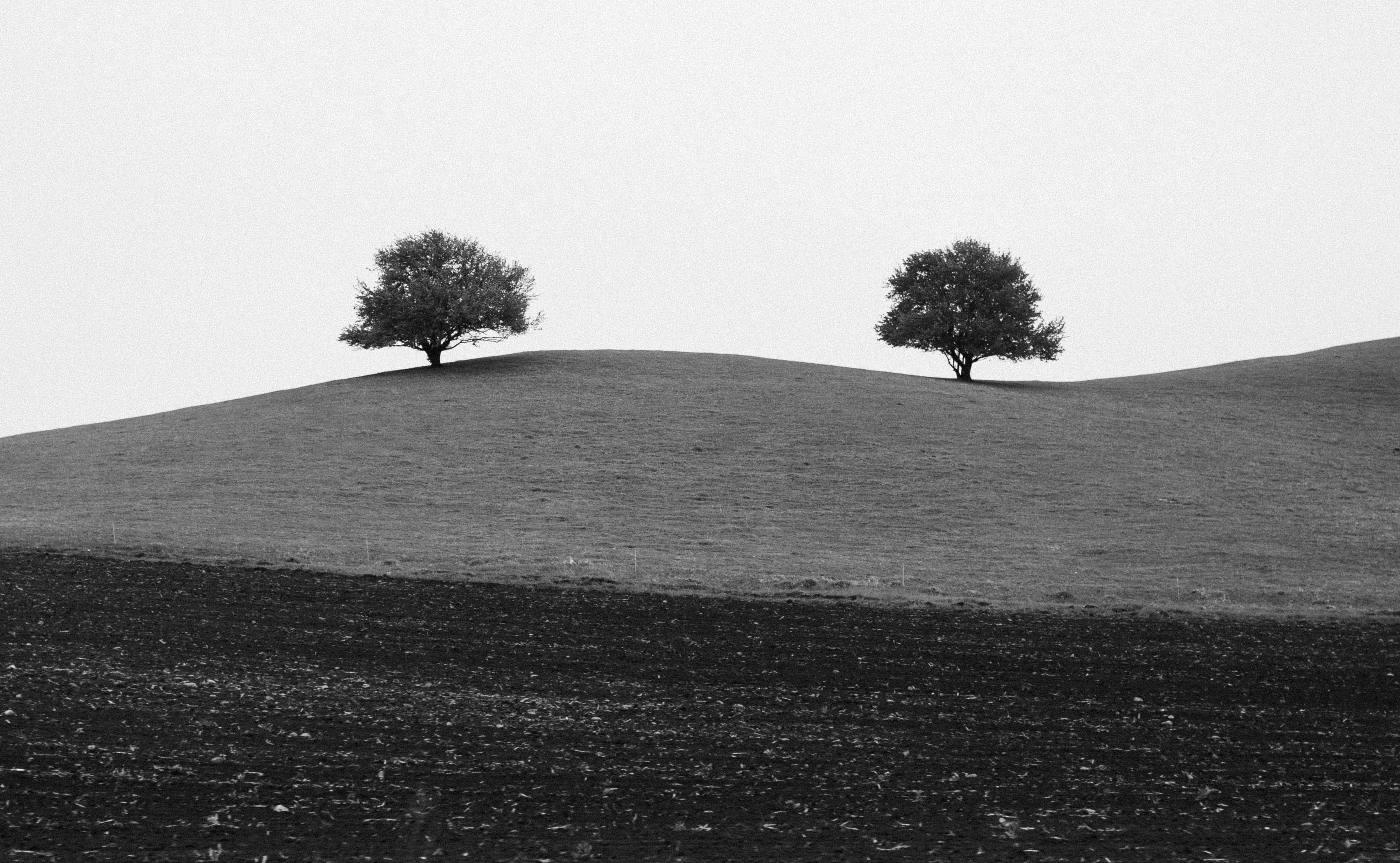 Двое на холме. Фотограф Елена Шевченко