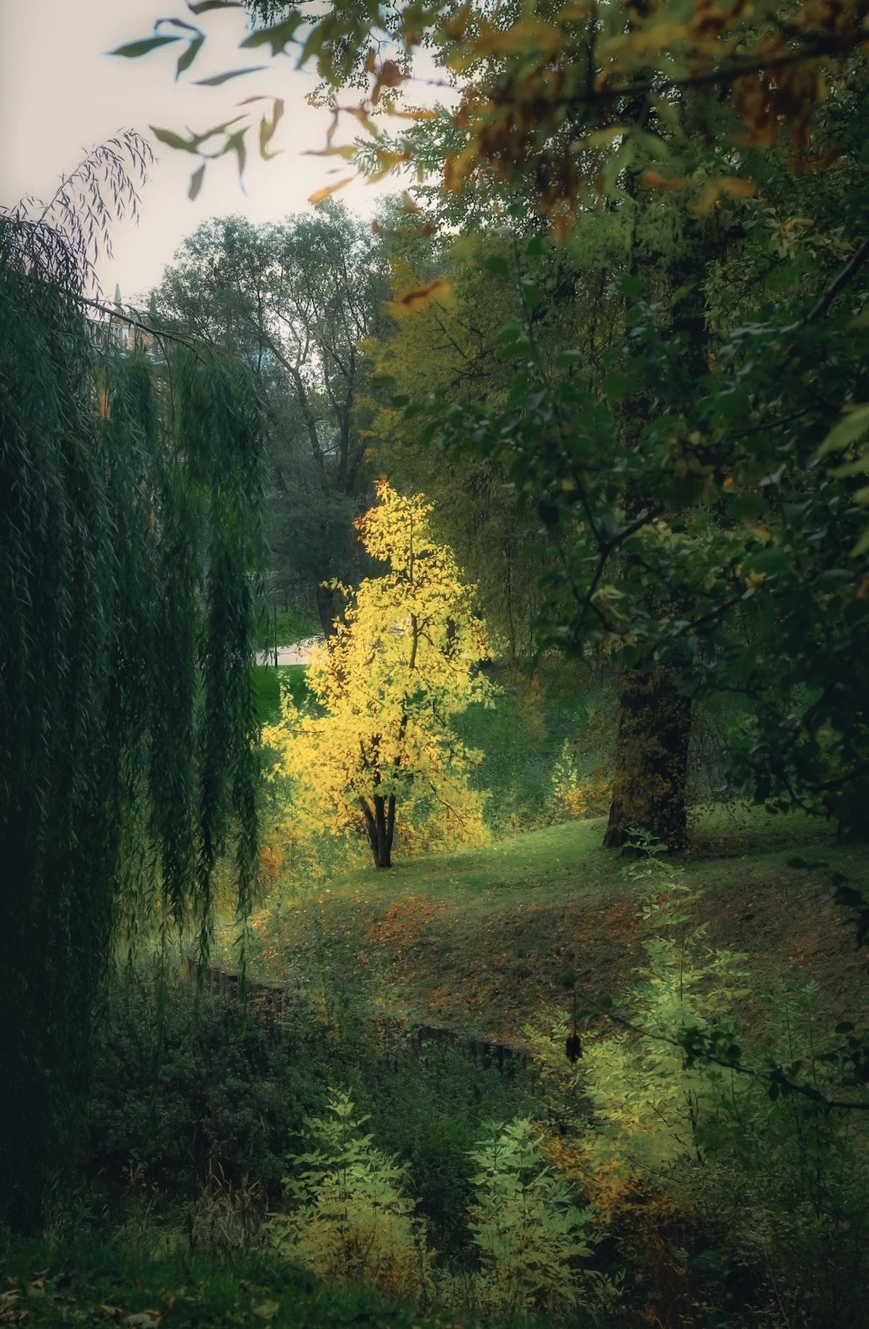 осень, природа, пейзаж, autumn, goldautumn, nature, landscape, золотаяосень, Julia Kaissa