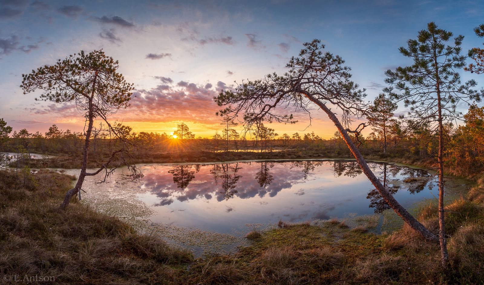 пейзаж, природа, болото, эстония, Antson Elvis