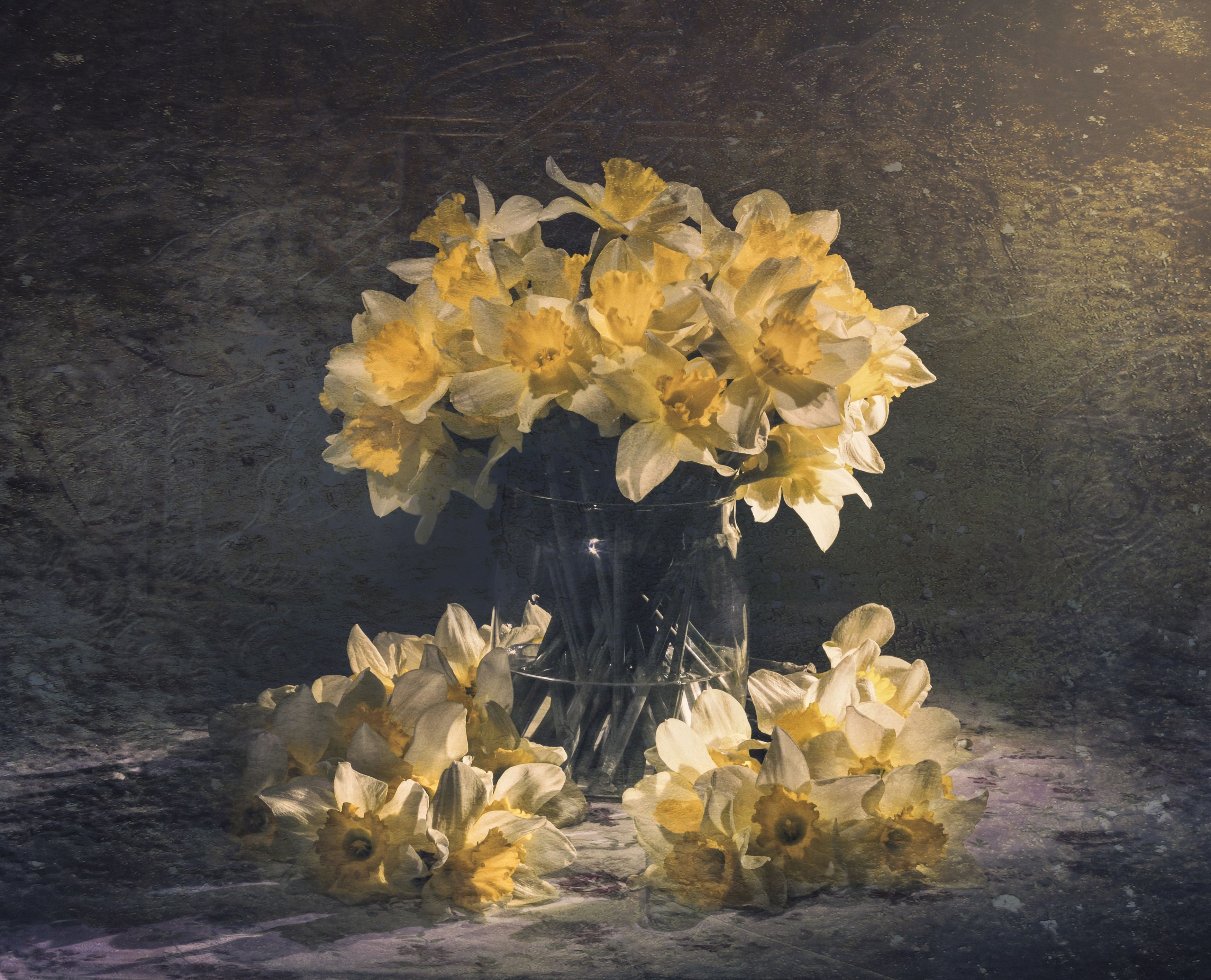 Нарциссы, цветы, букет нарциссов, натюрморт, Shadow Anna