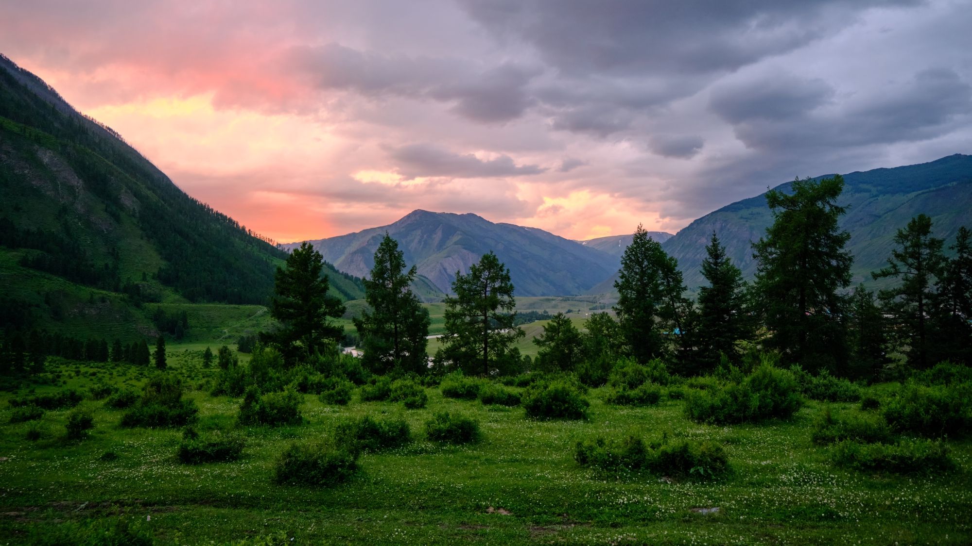 алтай, республикаалтай, чибит, Багурский Алексей