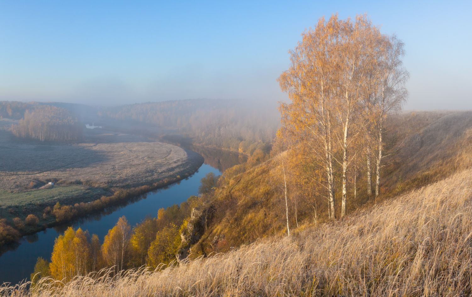 осень березы туман рассвет река, Сергей Буторин