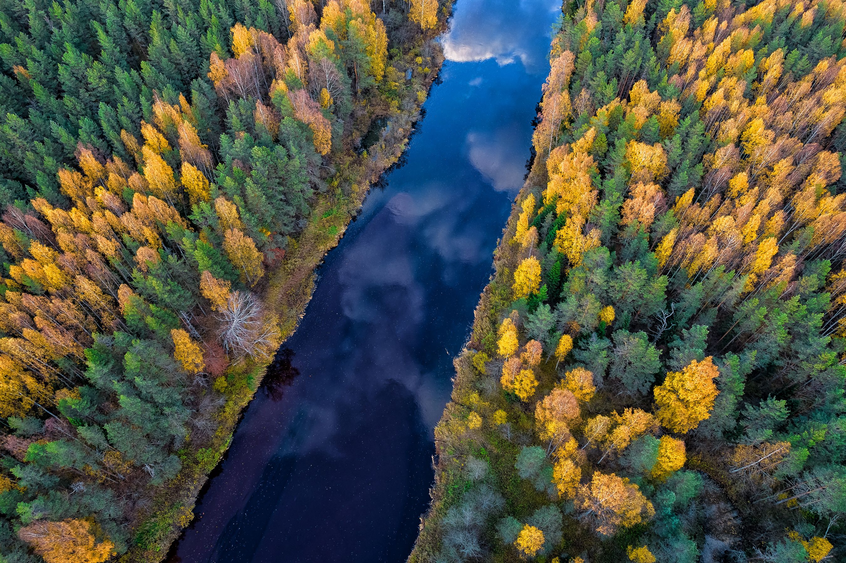 река, отражение, осень, небо, природа, аэрофотосъемка, Максим Подосинников
