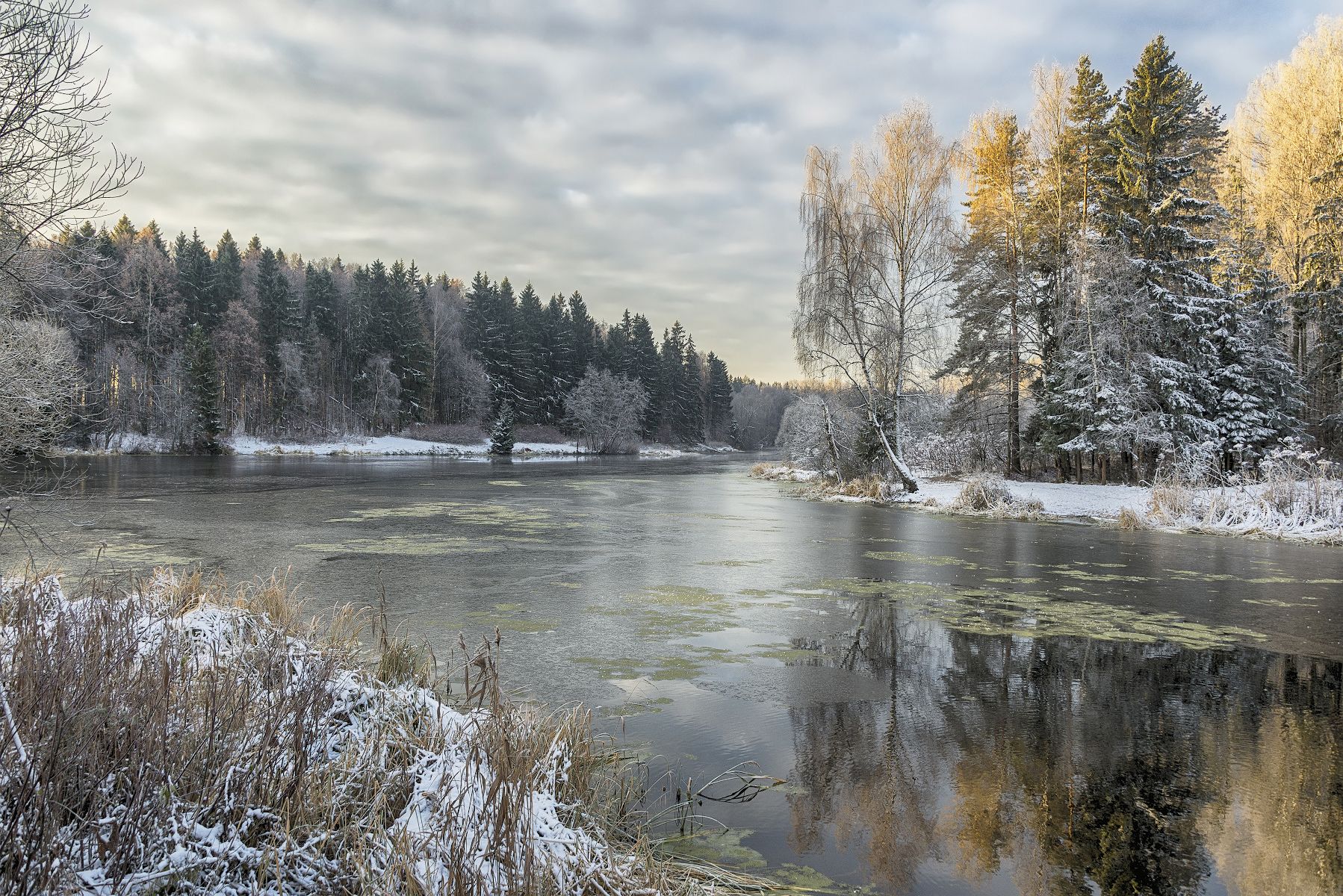 лёд, река, лес, первый снег, заморозки, Сергей Аникин
