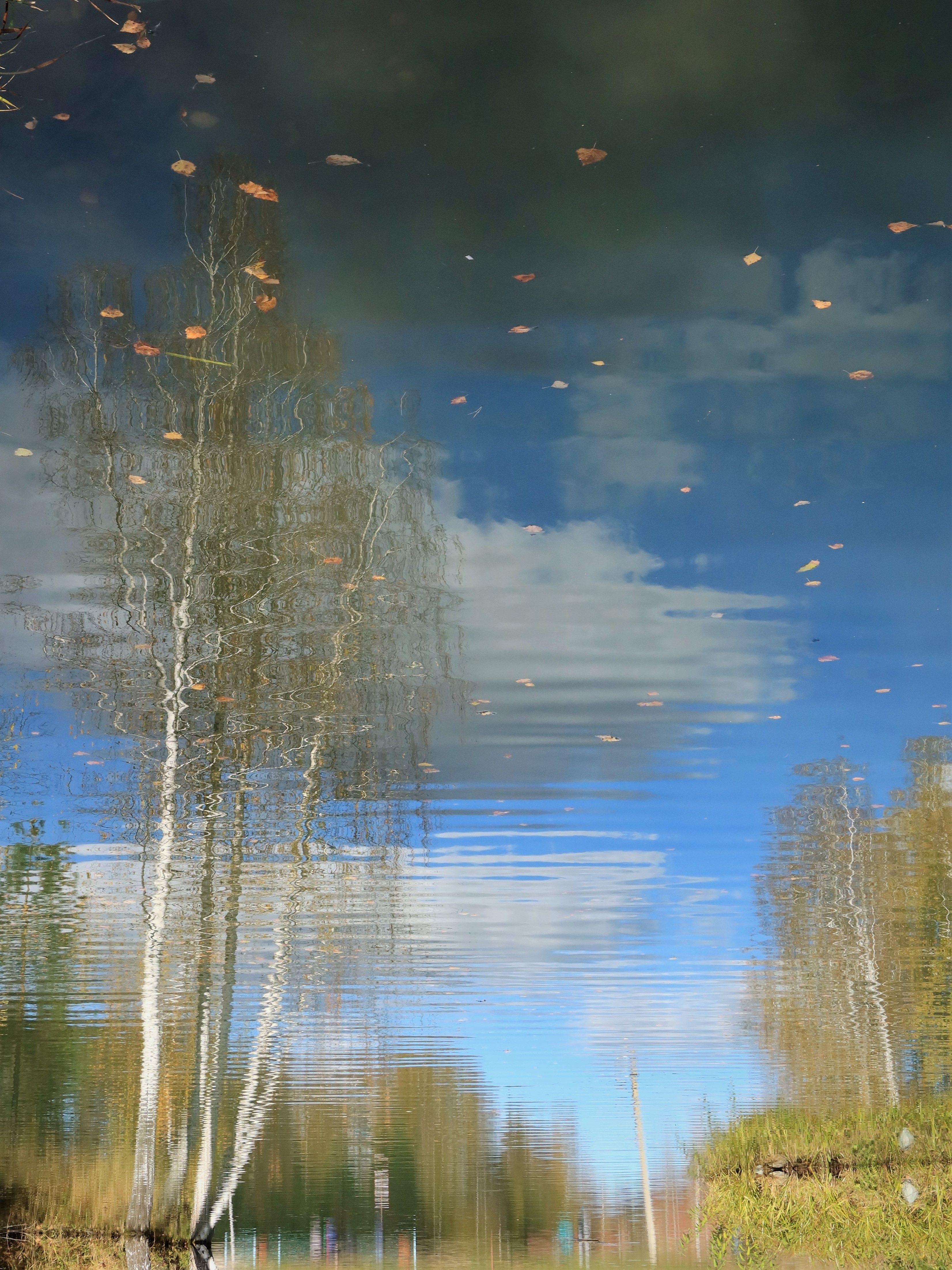 осень,небо,деревья,отражение, Козлова Галина