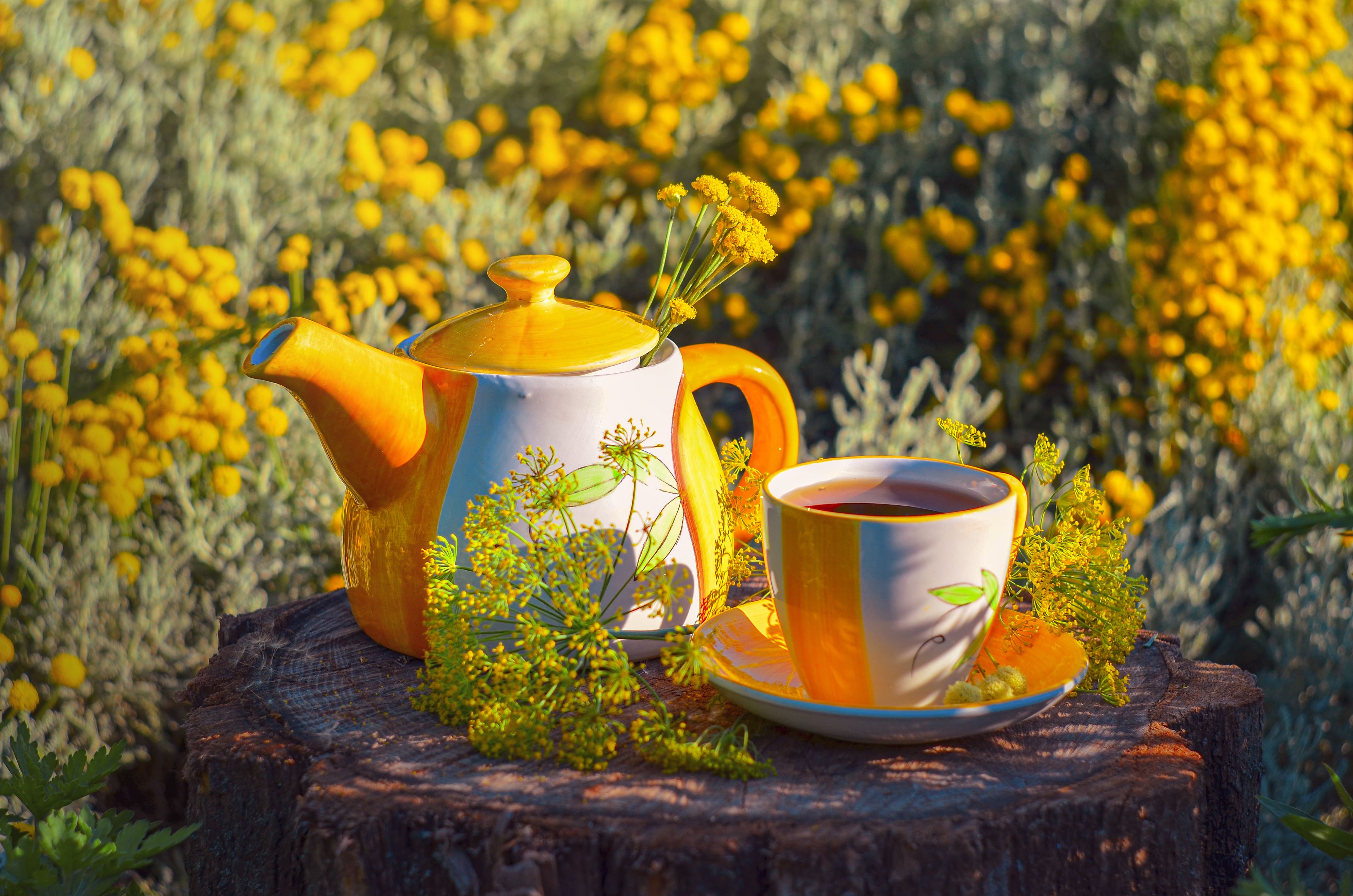 Цветы, желтый, чайник, чай, природа, посуда, Shadow Anna
