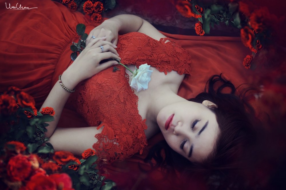 Girl, Hanoi, Red, Rose, Sleep, Unochan, Vietnam, Vuonghongchan, unochan