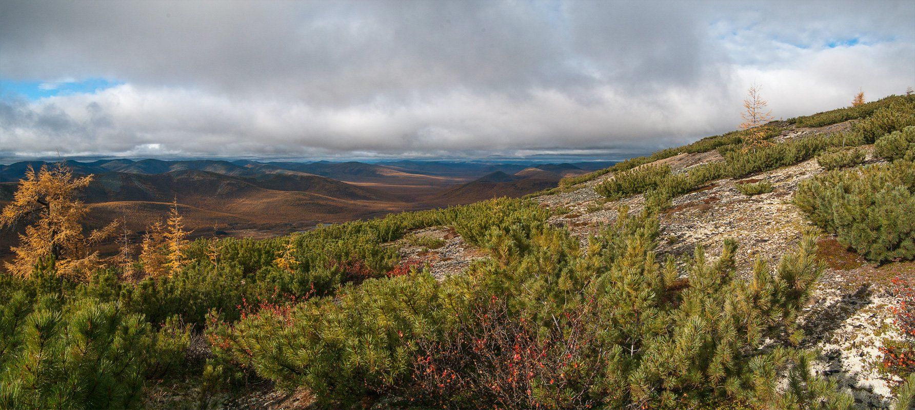 якутия, осень, лиственница, трасса, колыма, Александр Гиль