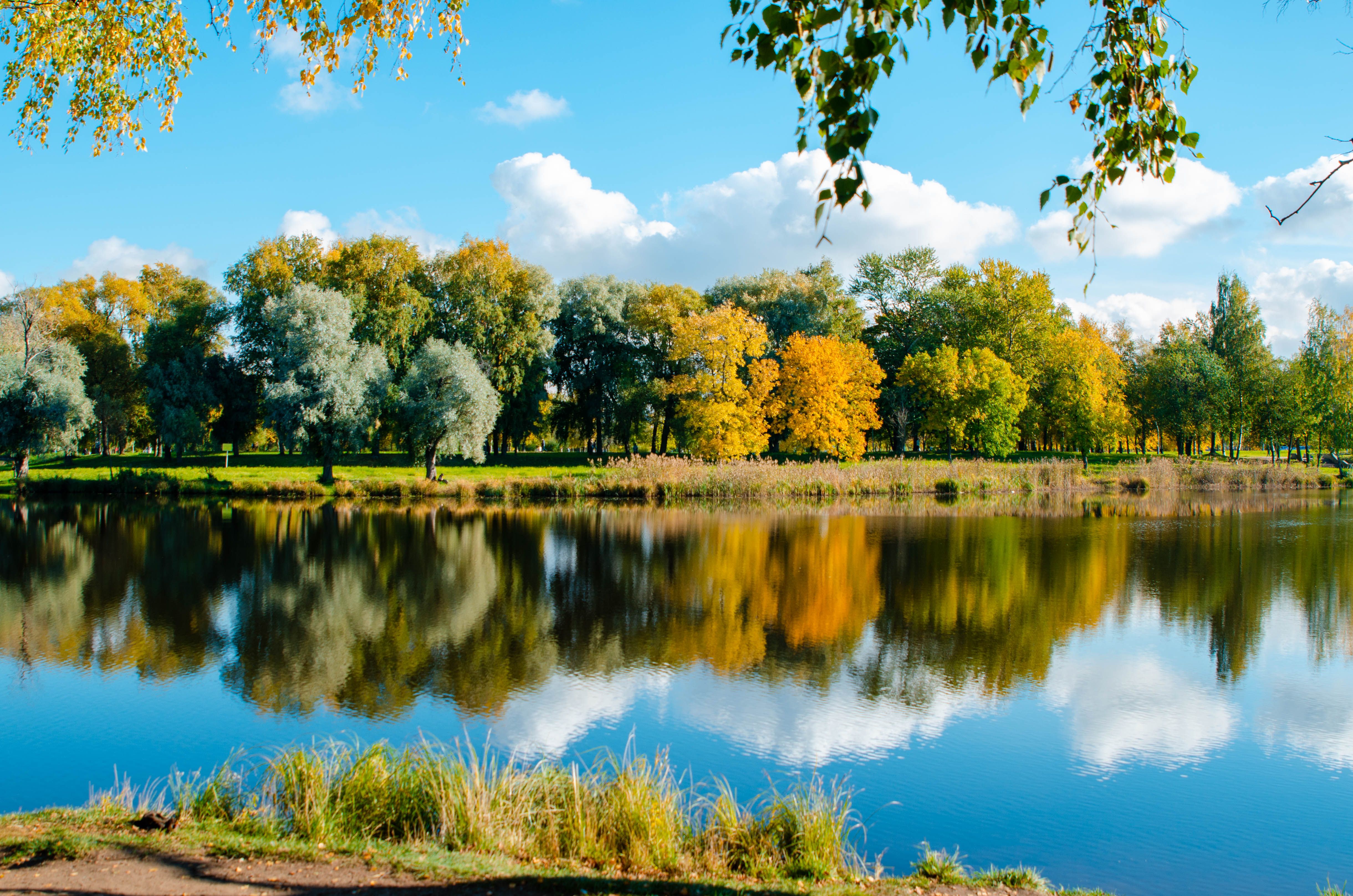 осень, озеро, отражение, деревья, Елена Аверина