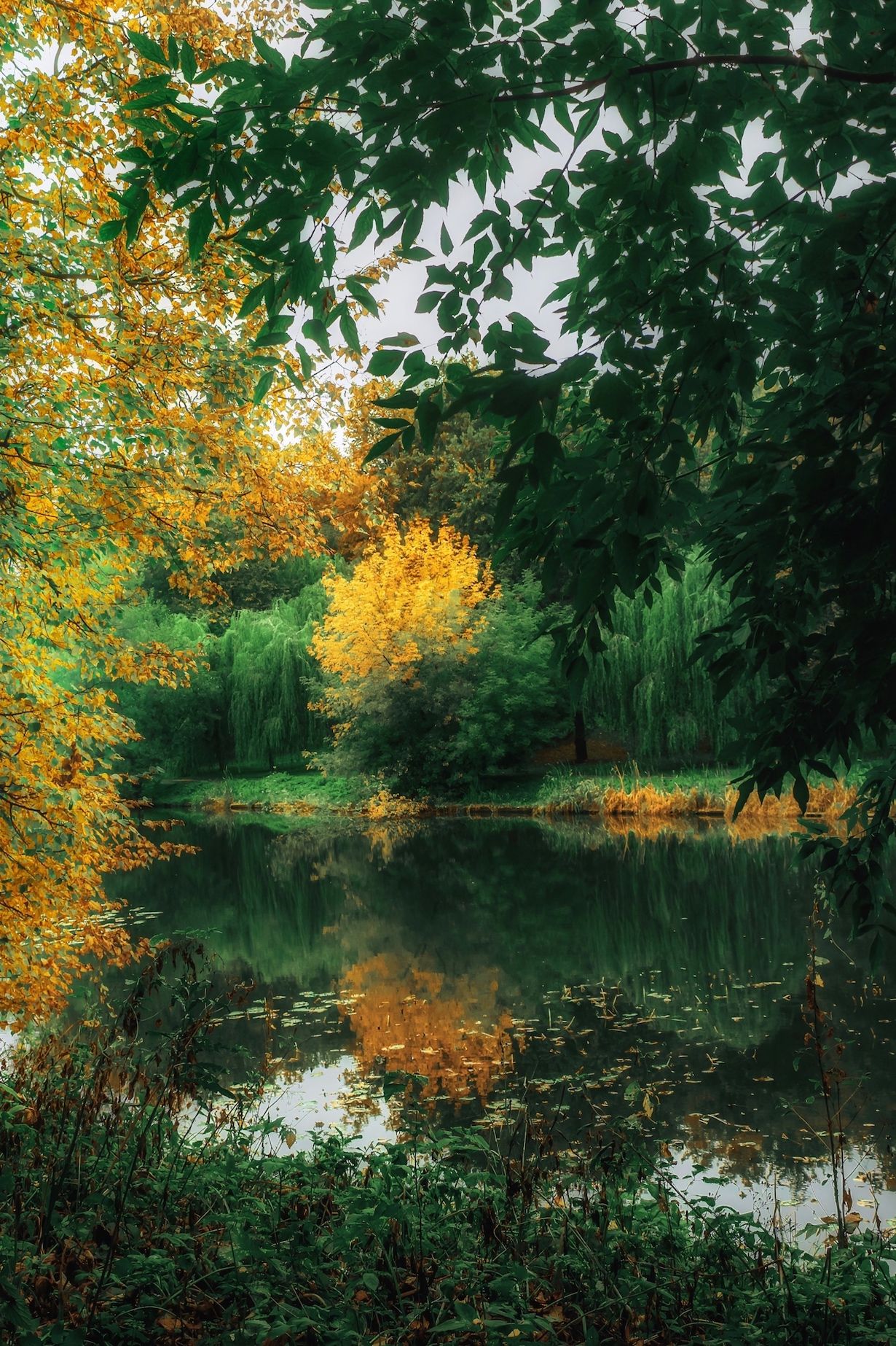 осень, природа, пейзаж, autumn, goldautumn, nature, landscape, золотаяосень, отражение, пруд, reflection, Julia Kaissa
