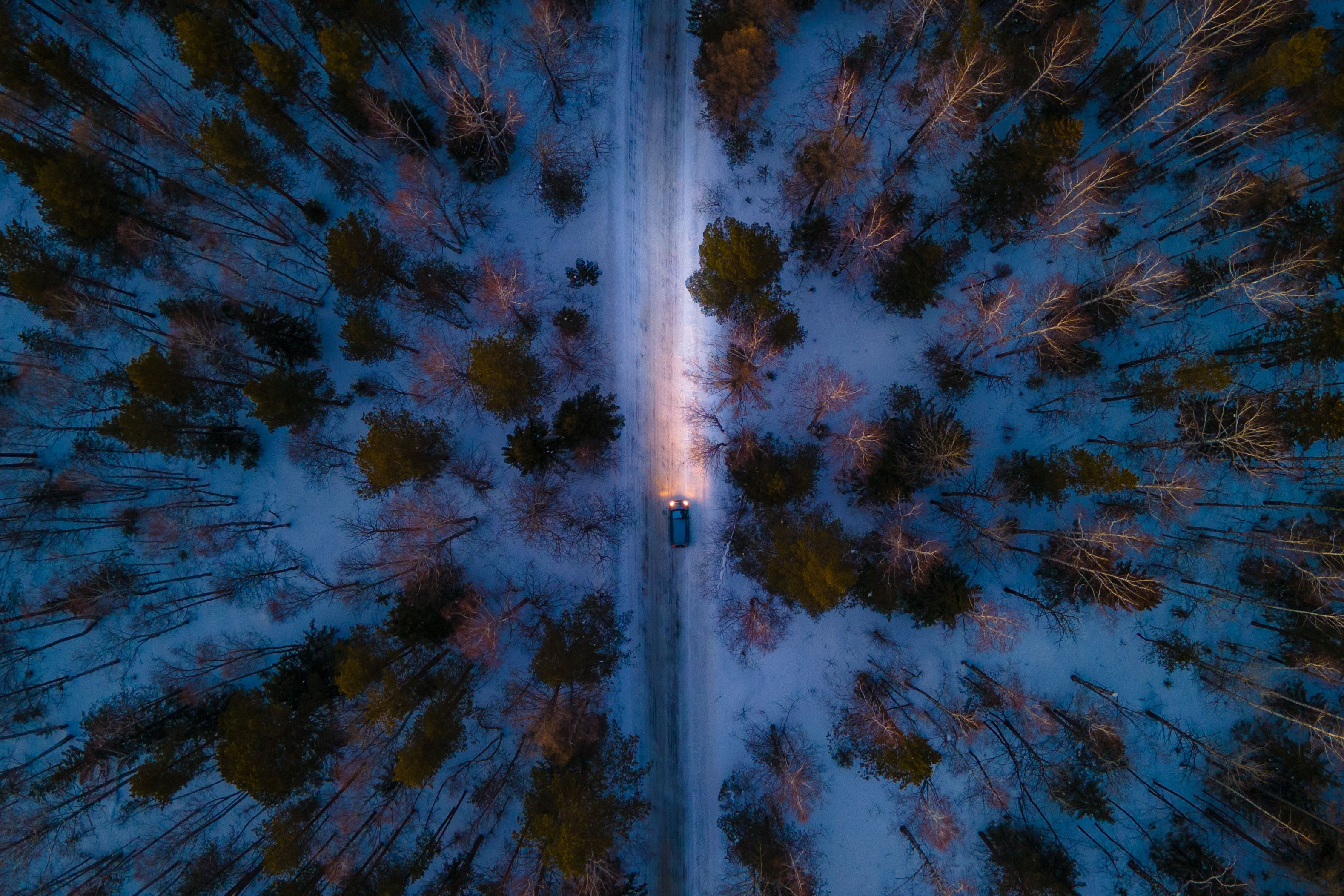 лес вечер снег урал дорога автомобиль сумерки, Жданов Дмитрий