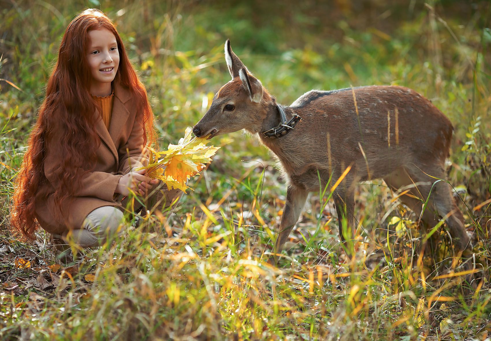девочка,олененок,встреча,осень, эмоции, прогулка, girl, fawn, autumn, emotional, nature, Yulia Stukalova