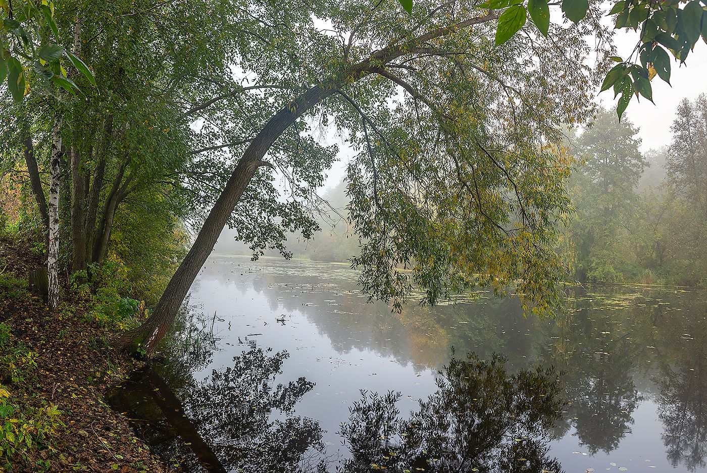 усмань, туман, природа, осень, октябрь, липецкая область, Востриков Руслан