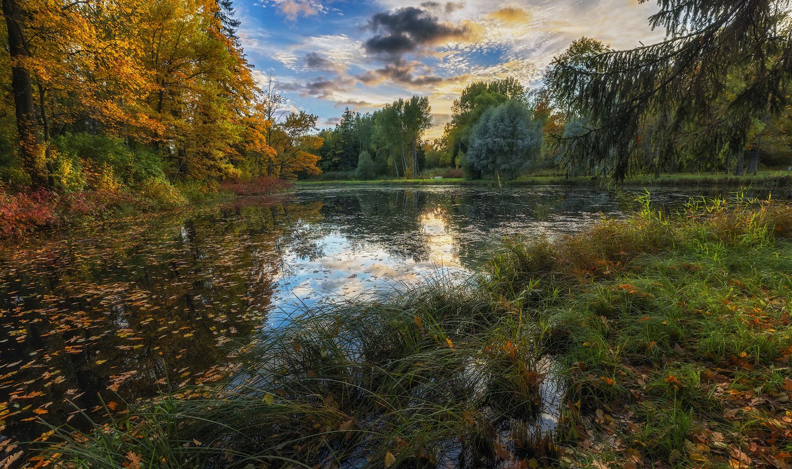 осень парк закат октябрь листопад, Скороходов Константин