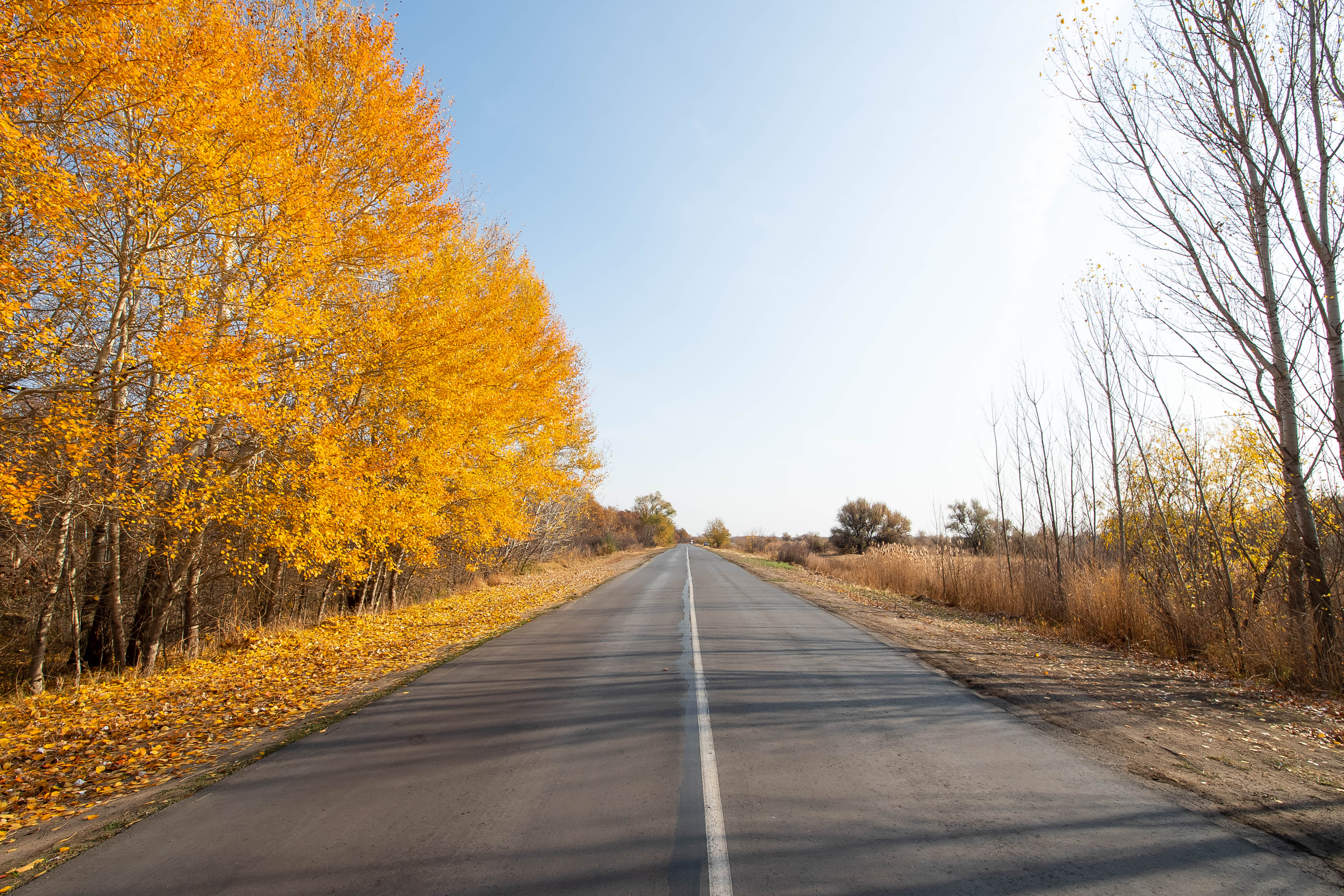 road, autumn, volgograd, russia, Сторчилов Павел